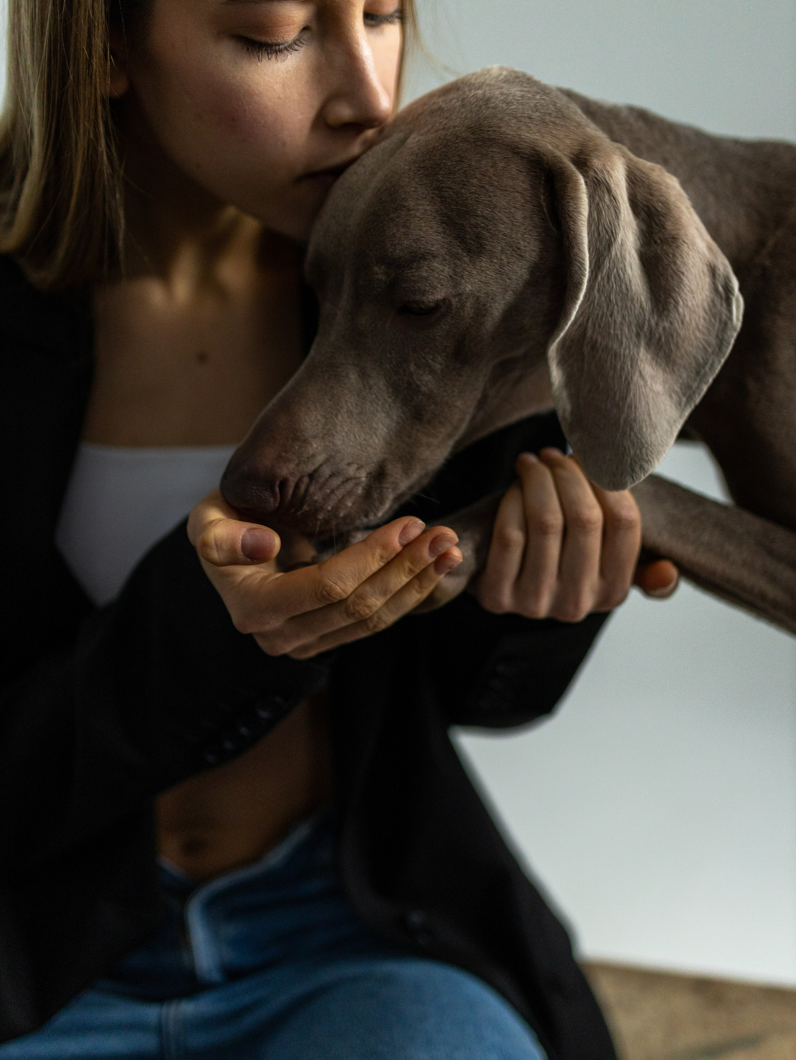 Сенча и Даша. Фотограф-анималист в Москве Кириллова Татьяна