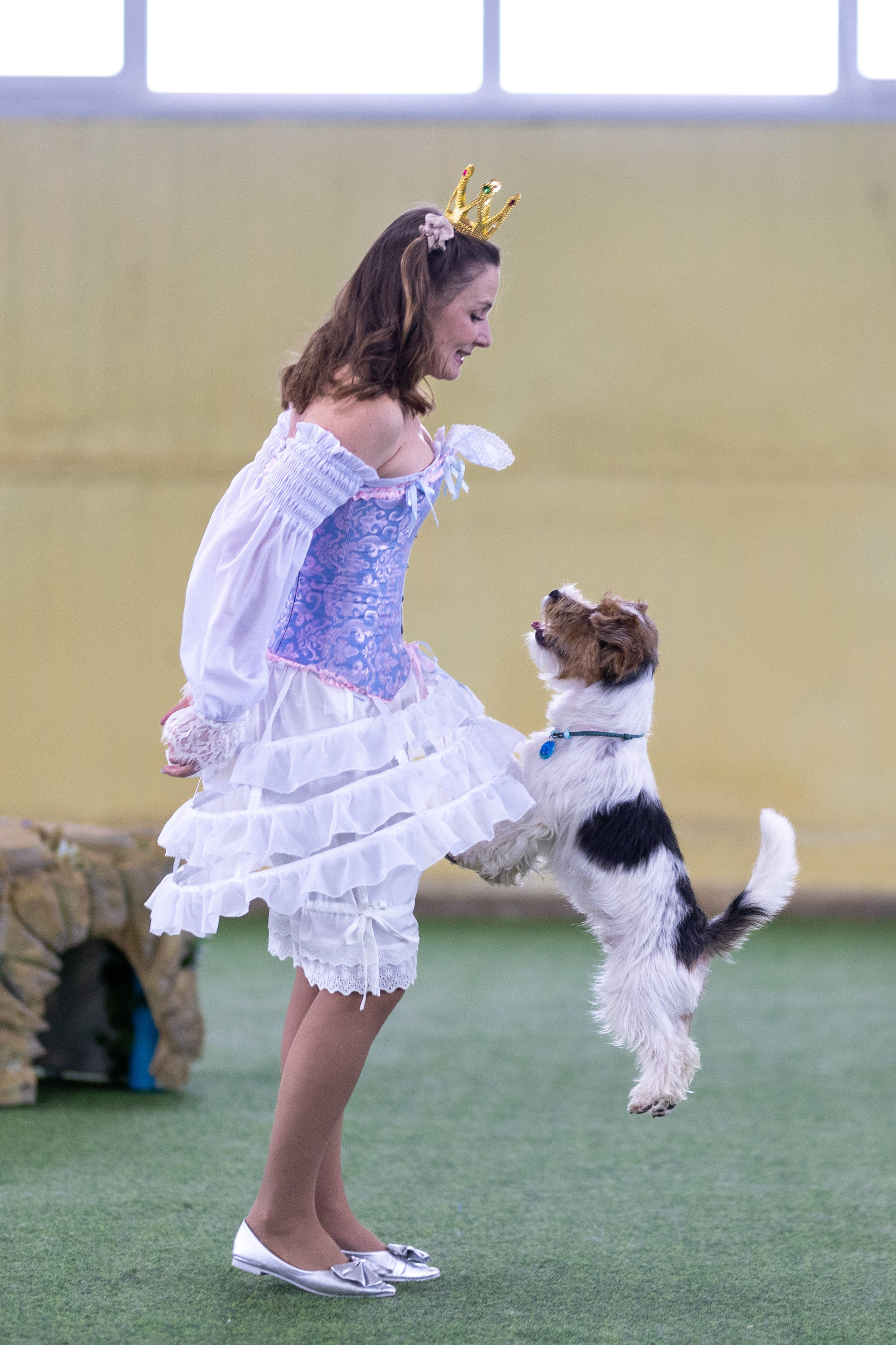 Соревнования танцы. Фотограф-анималист в Москве Кириллова Татьяна