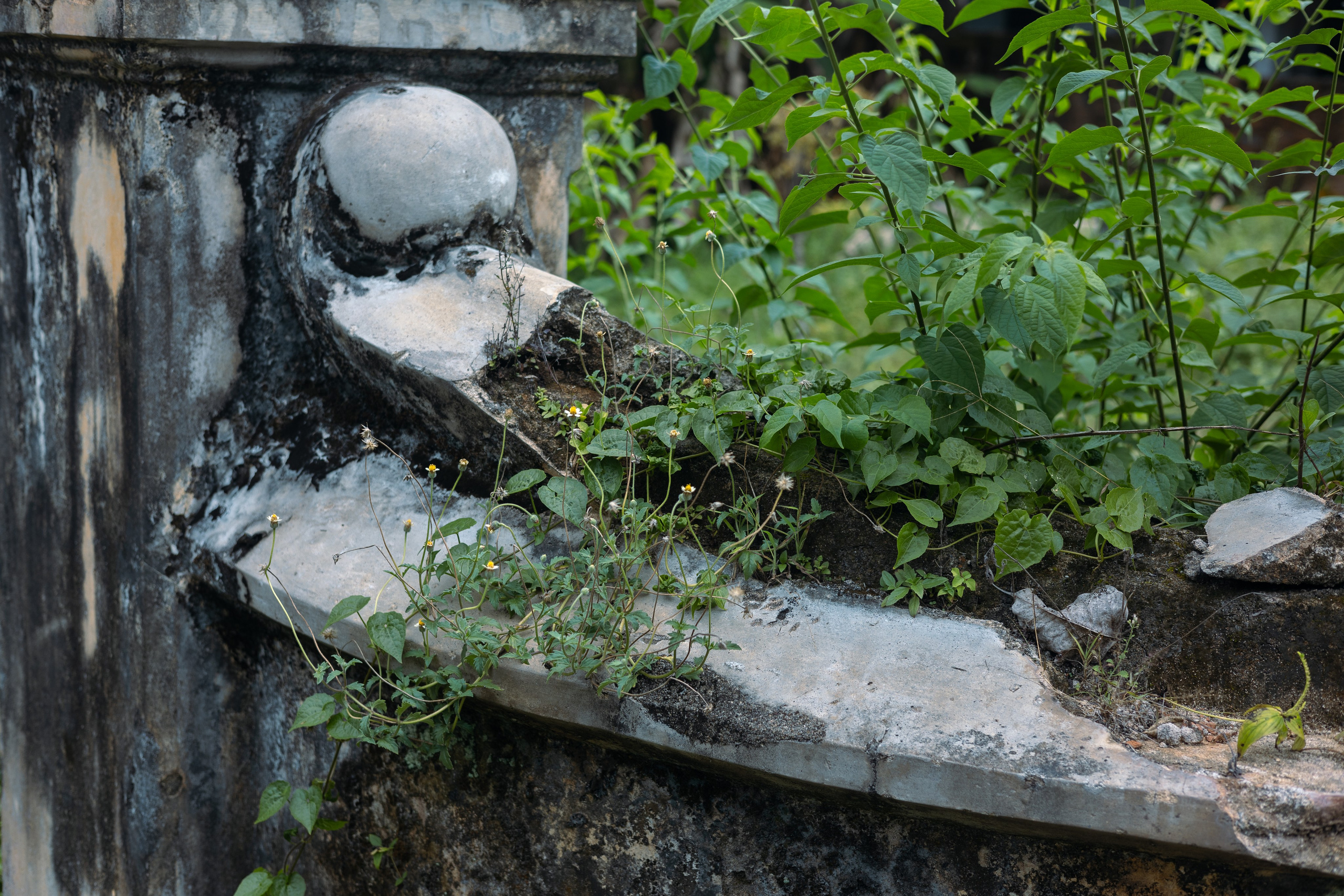 Weligama. Photographer Sonkina Tatiana (Tanya Ash)