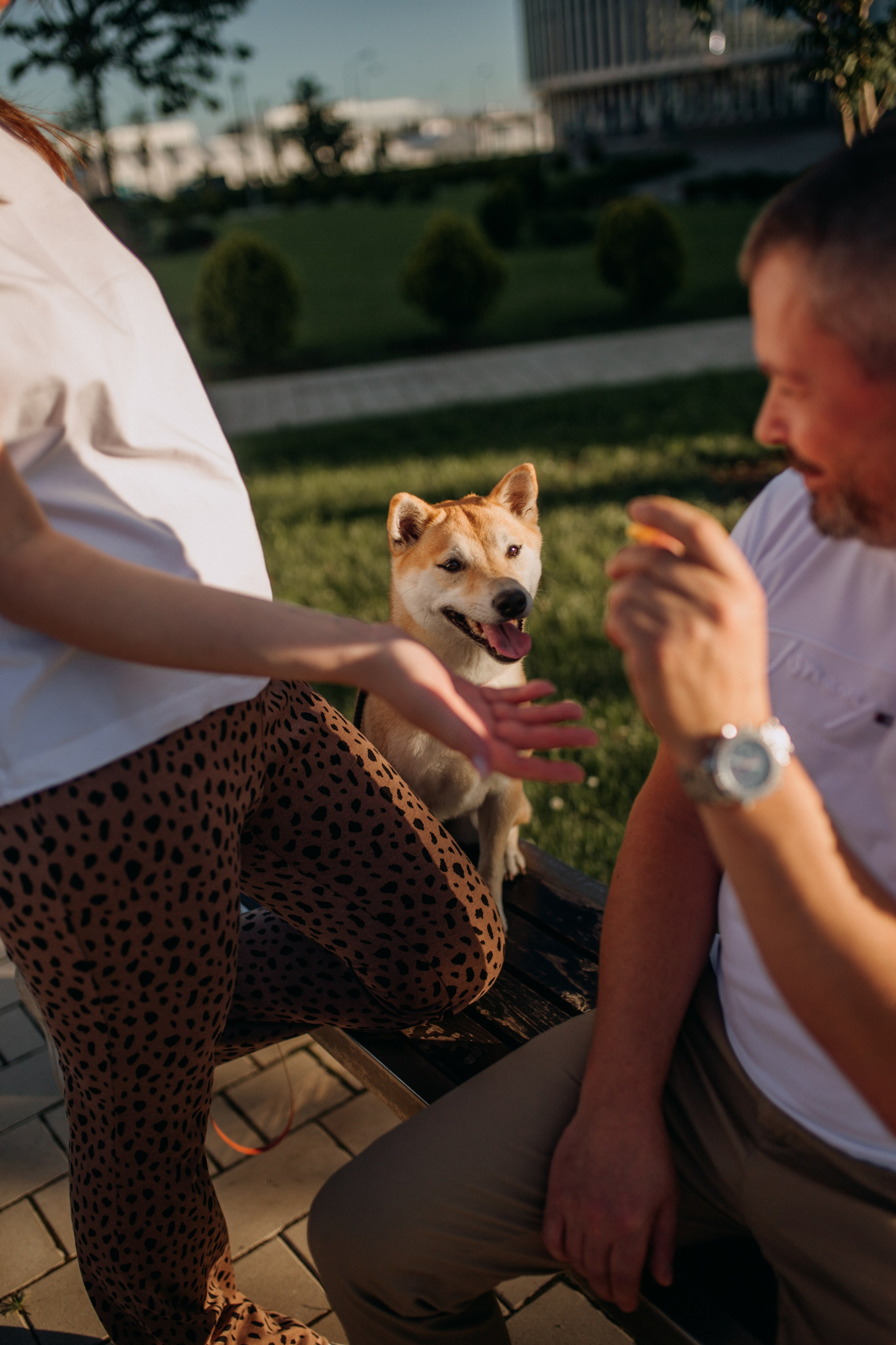 Семейный фотограф Белгородфотограф на свадьбу Белгородфотограф на крестины Белгородсемейная фотосессия Белгородфотосессия для беременных. Фотограф Анастасия Евсеева |Белгород