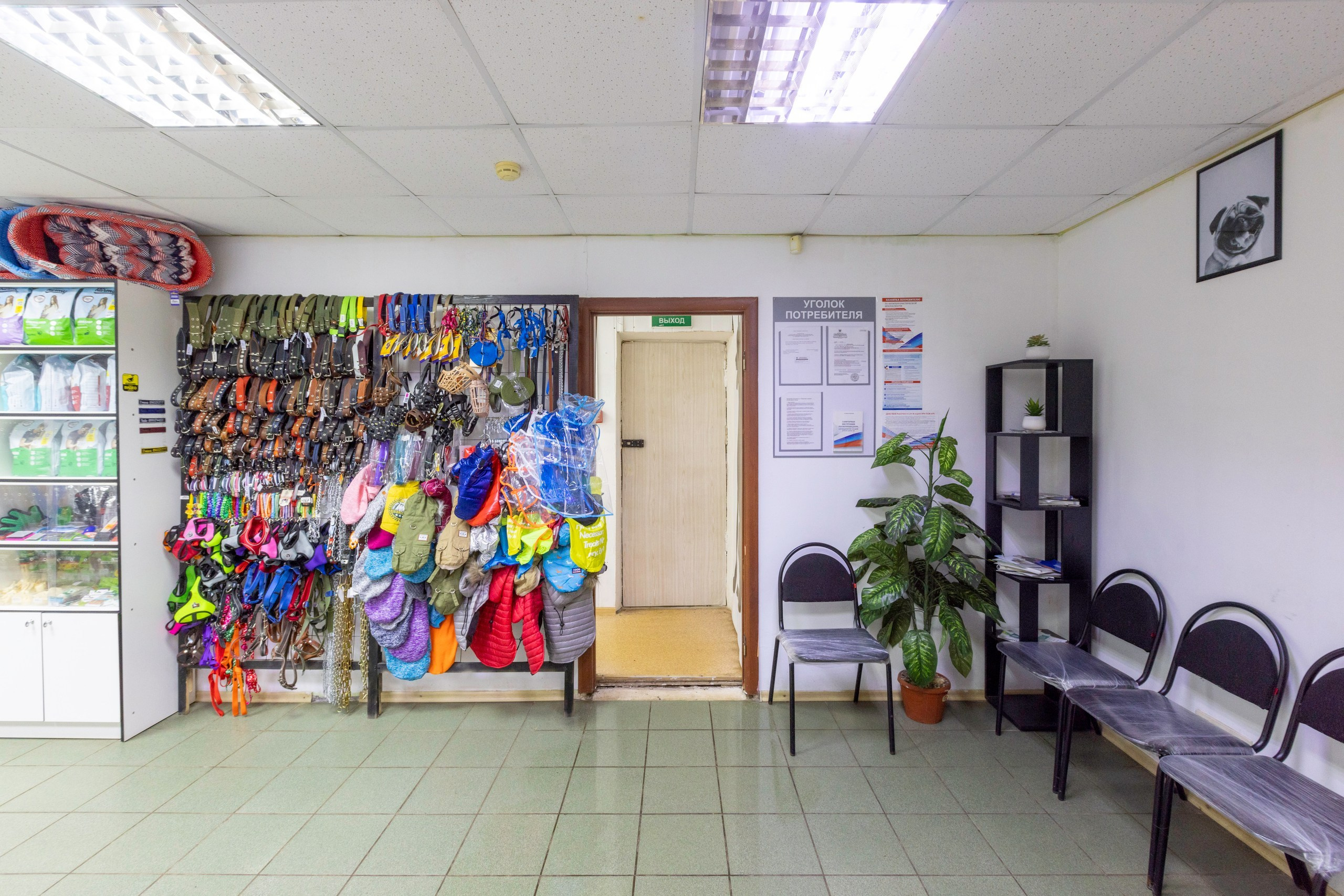 БАРОН. Ветеринарная клиника. Фотограф в Туле Крупский АнДРей. Фотостудия «КАДР71» в Туле