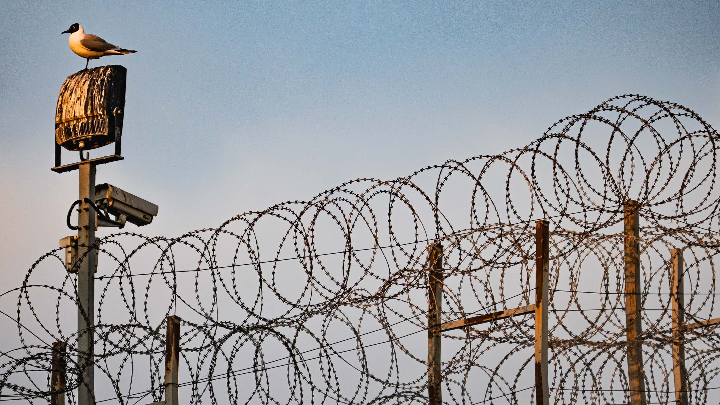 Saint Petersburg. The Andris