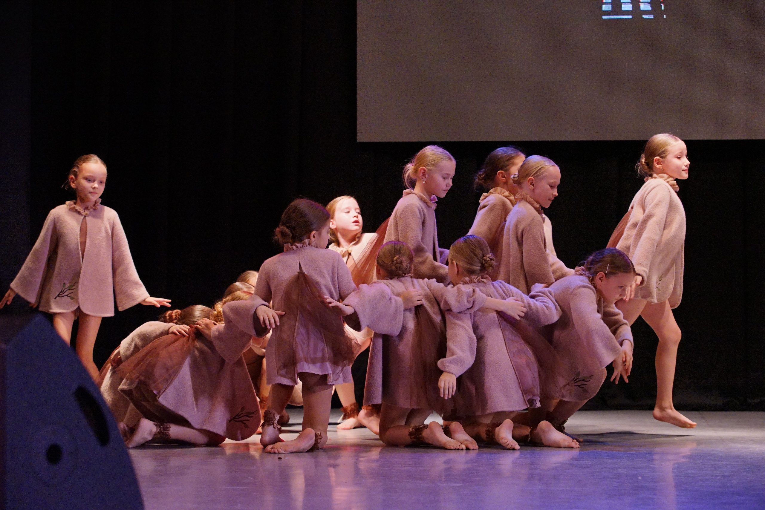 17 ноября, г. Новосибирск. Золотое яблочко