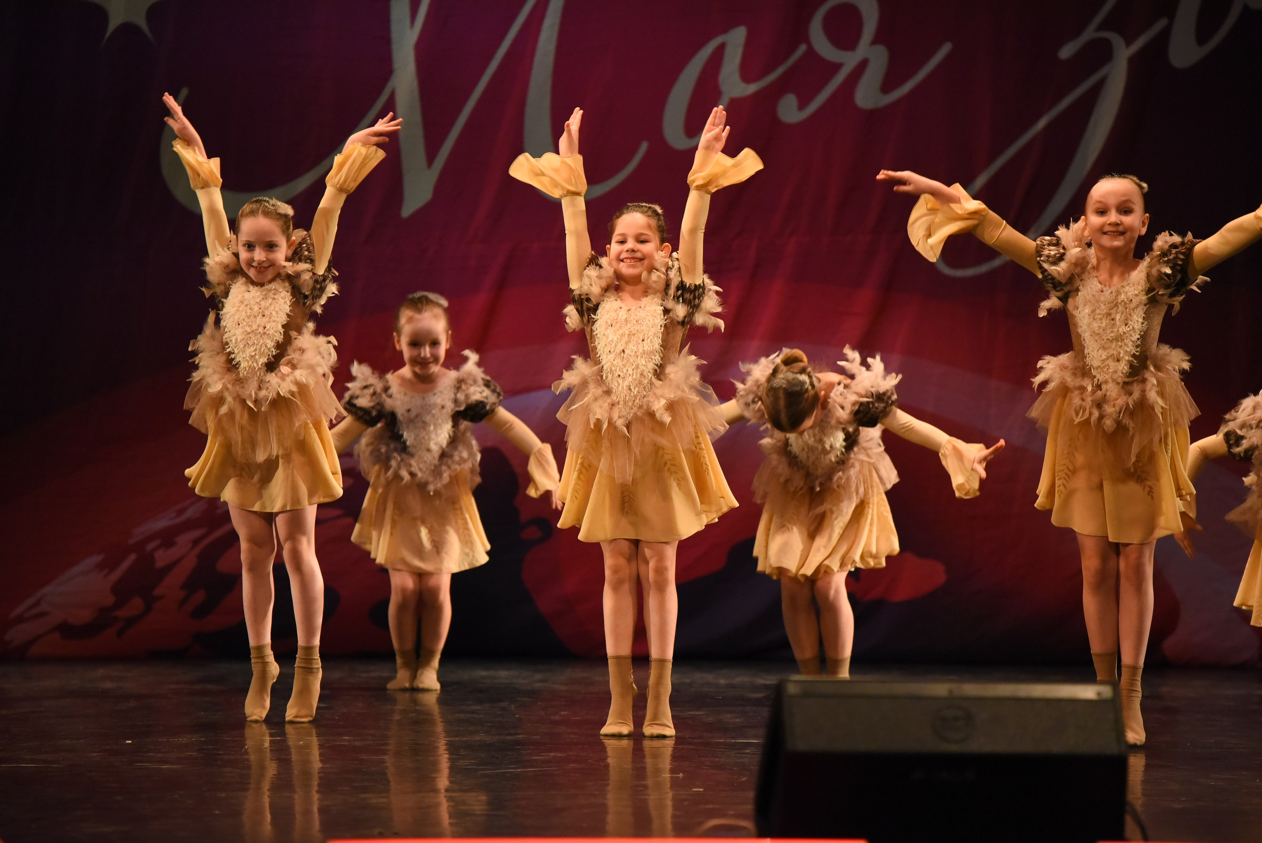 13 декабря, г. Калининград. Золотое яблочко