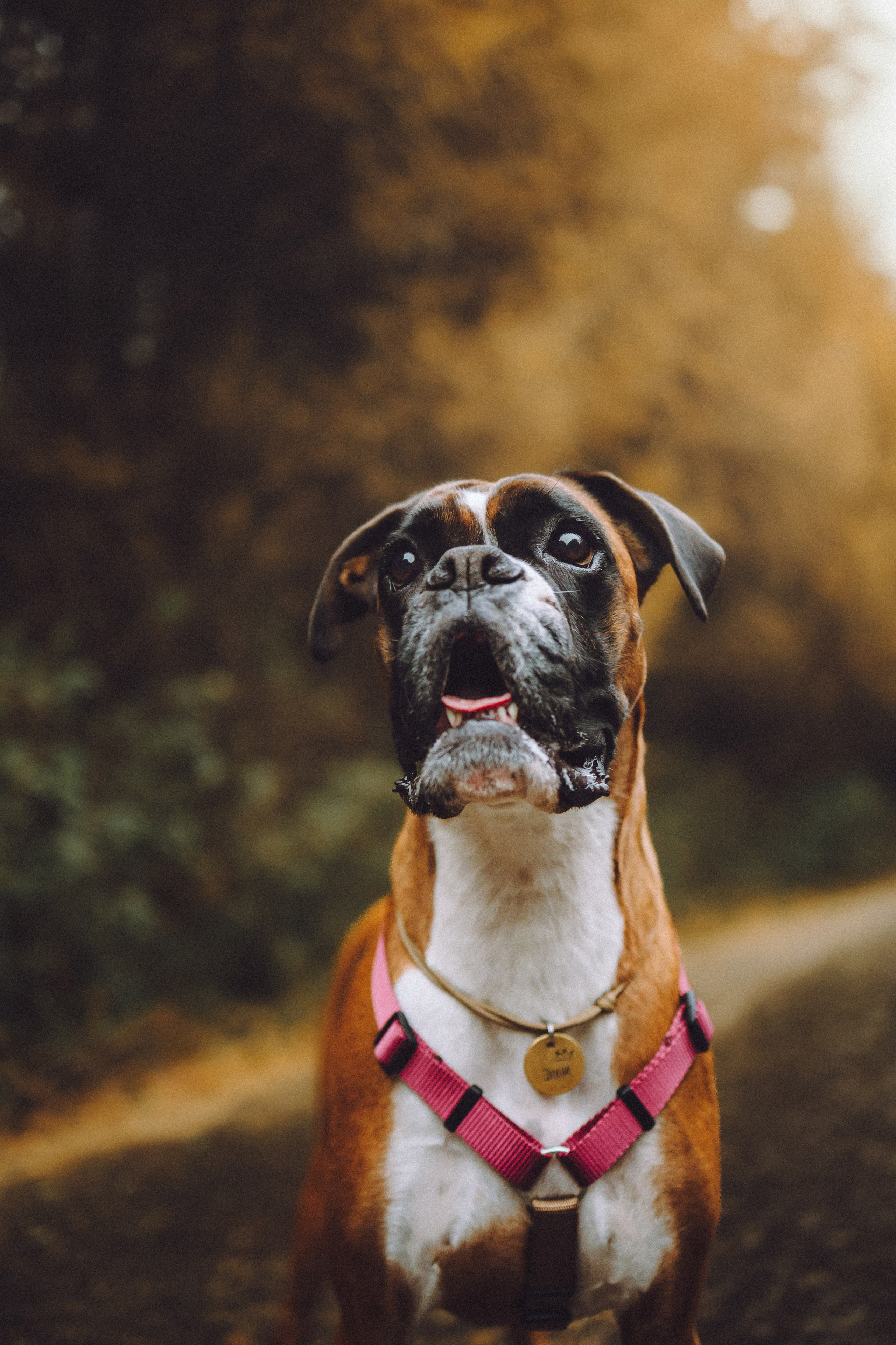 Элли и ее семья