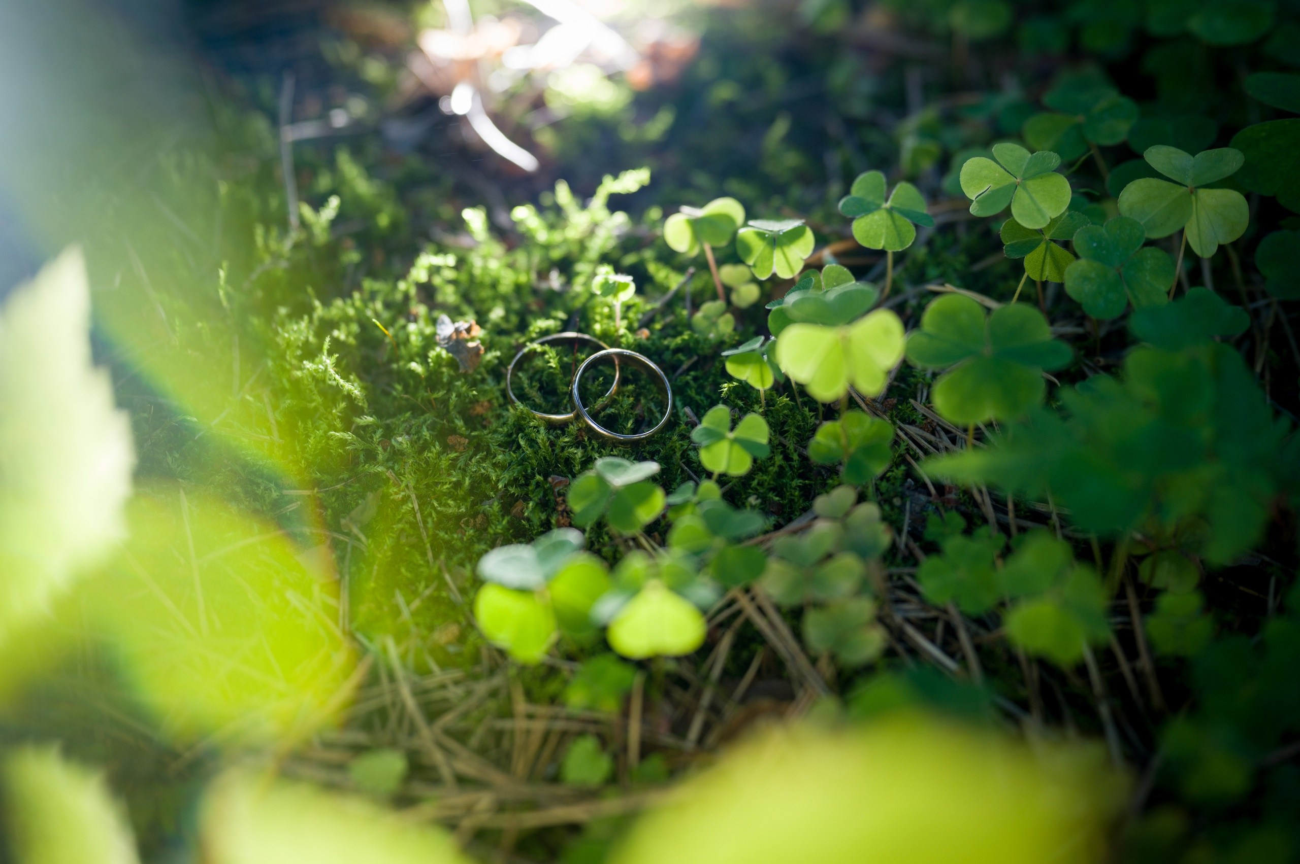 Дмитрий и Ксения. Фотограф Зырянова Яна, Снежинск, Екатеринбург, Челябинск