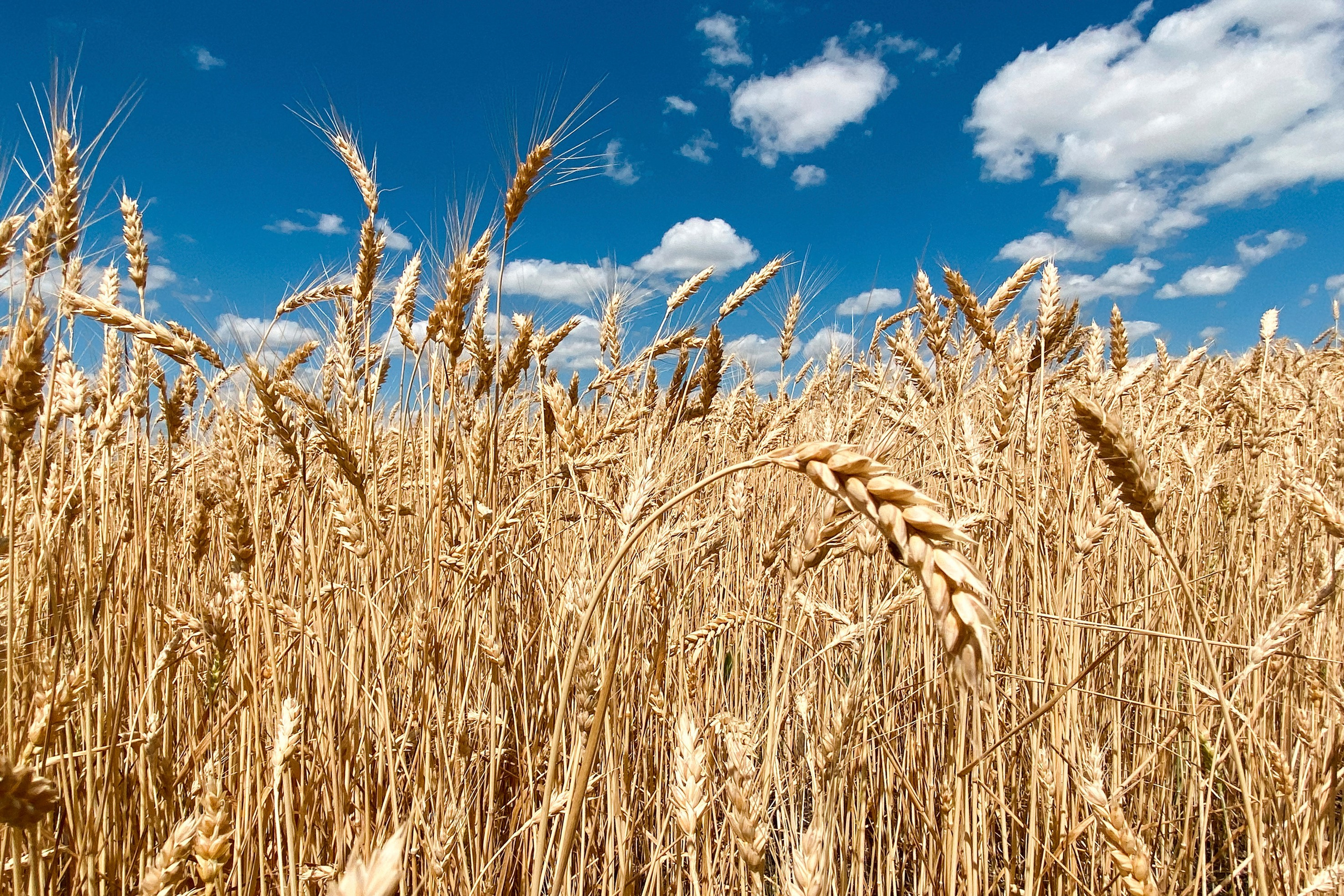 Природа. Команда фотографов Кристины Ивановой