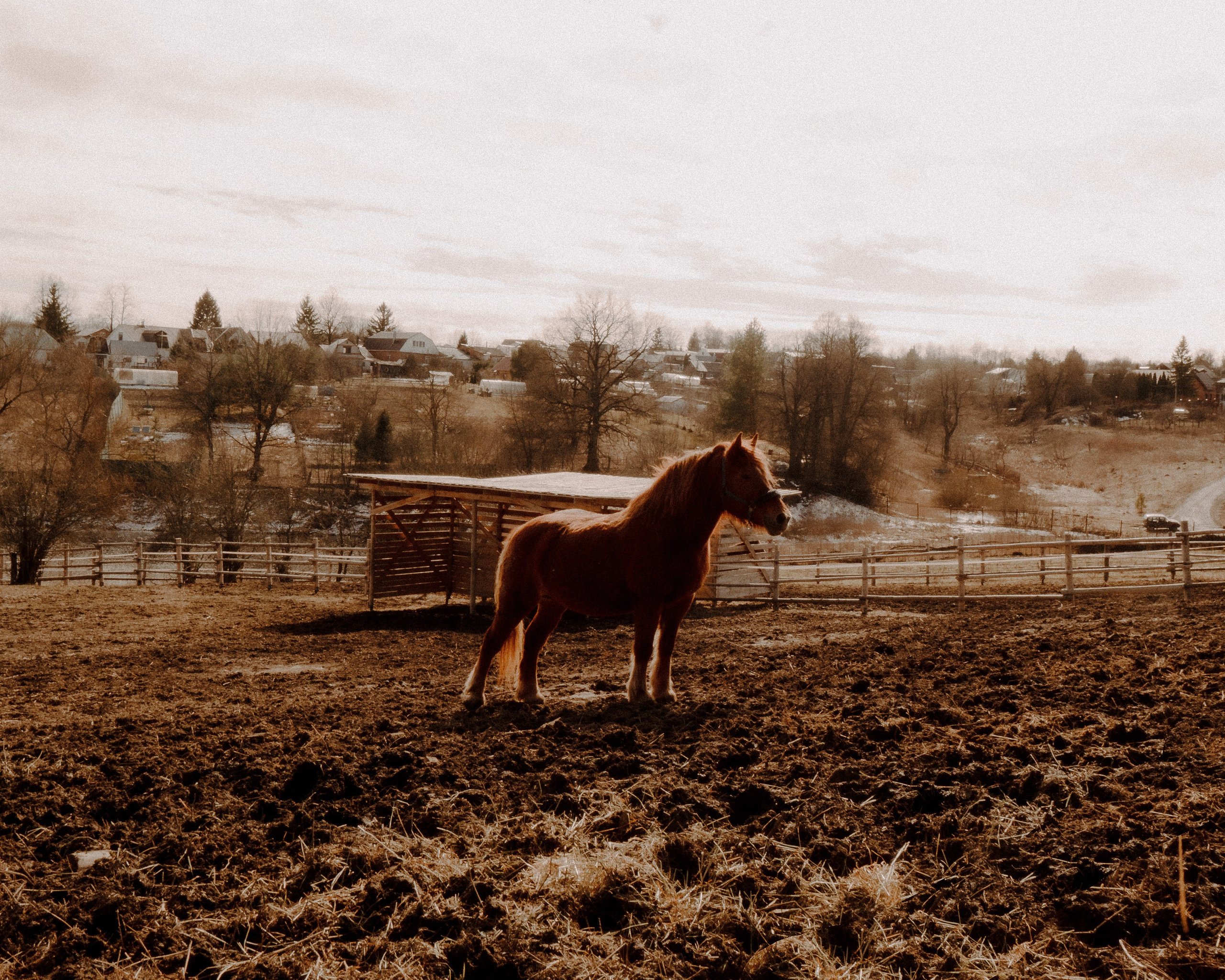 Тула '25. Фёдор Малюгин. Ваш бади в визуале