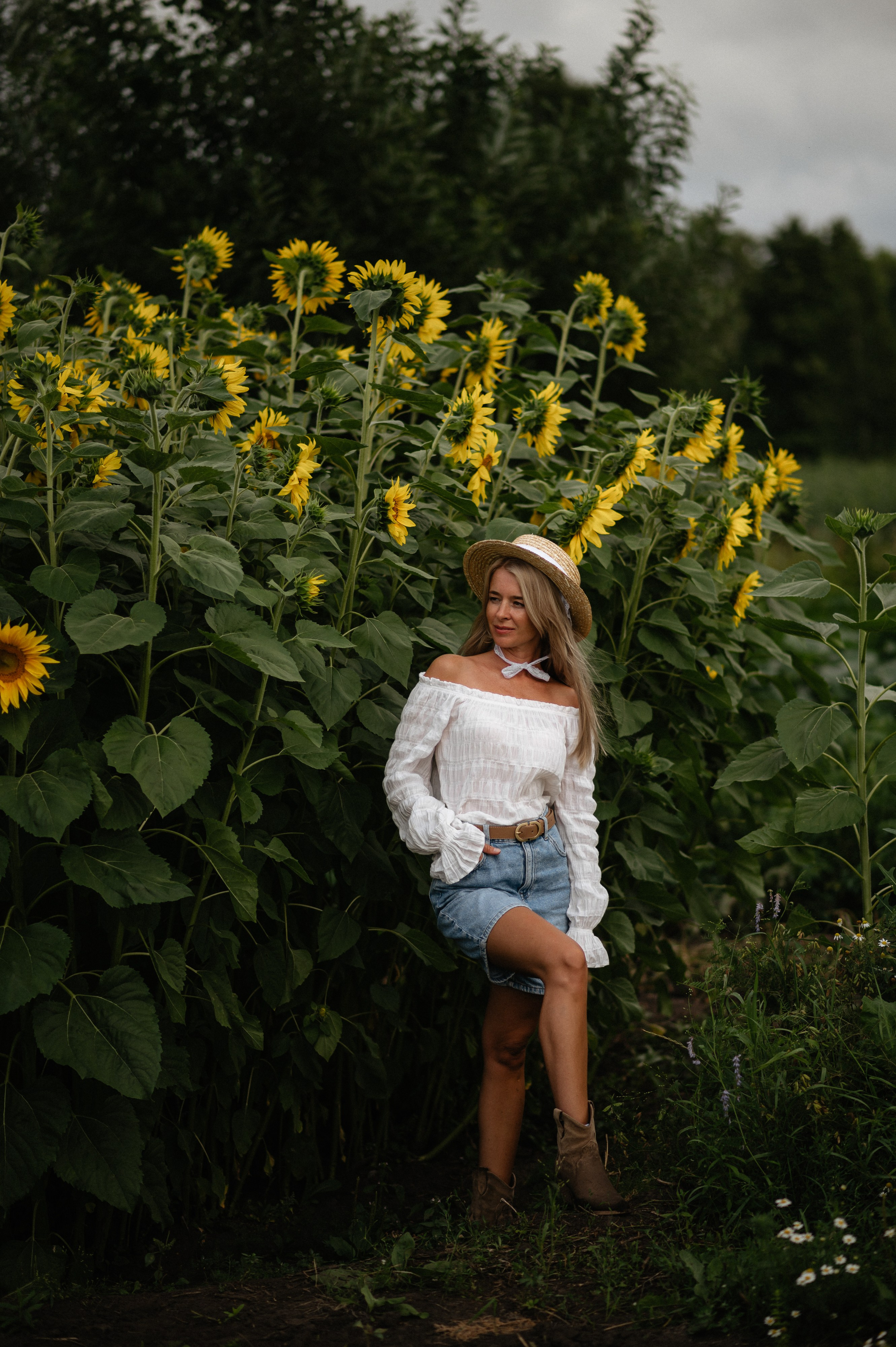 В поле с велосипедом. Главная