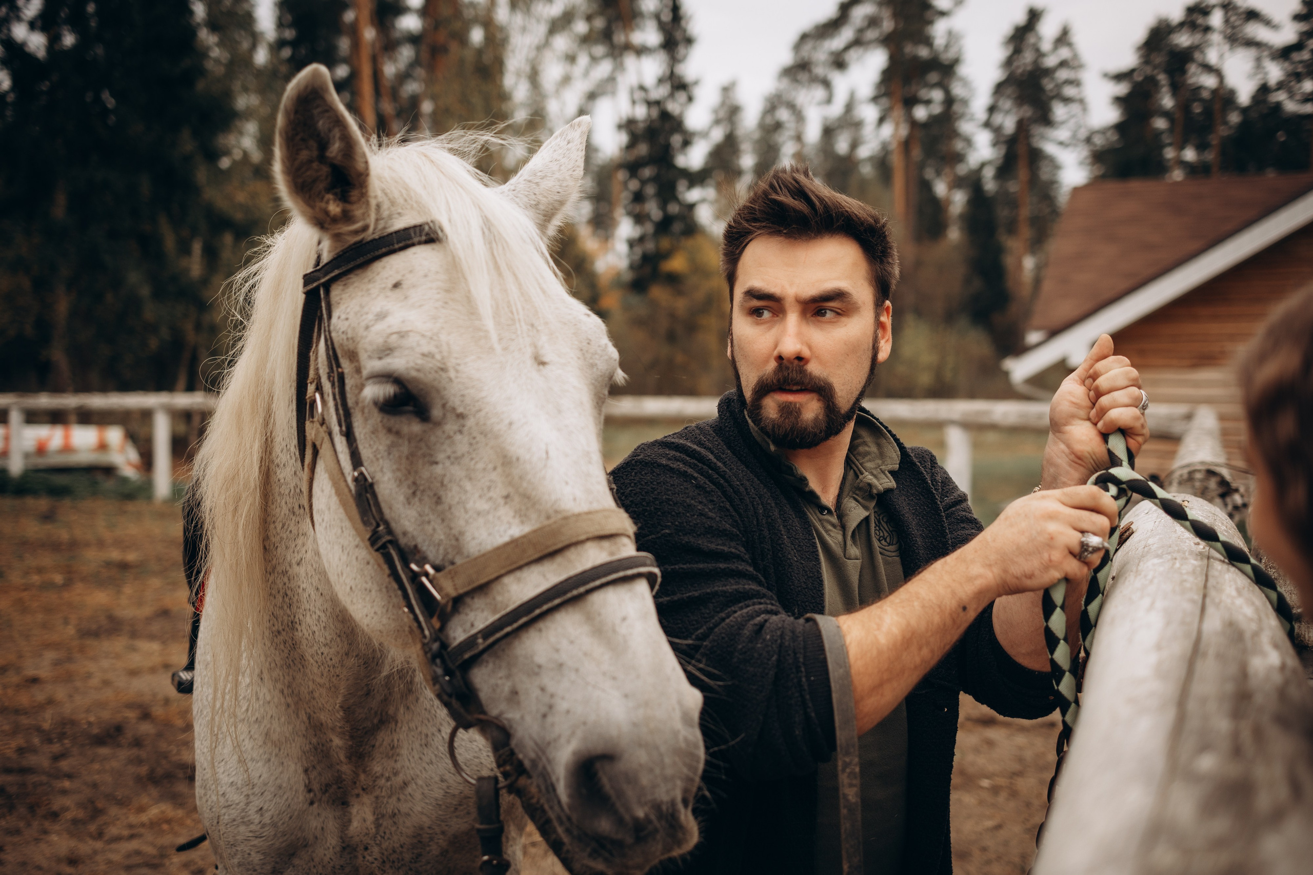 Лошади. Ваш фотограф в Москве и области Юлия