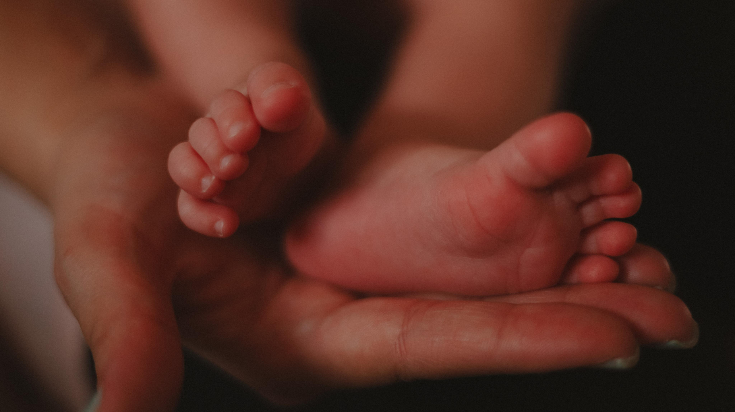 Новорожденный малыш. Семейный и свадебный фотограф в Южноуральске Екатерина Столярова