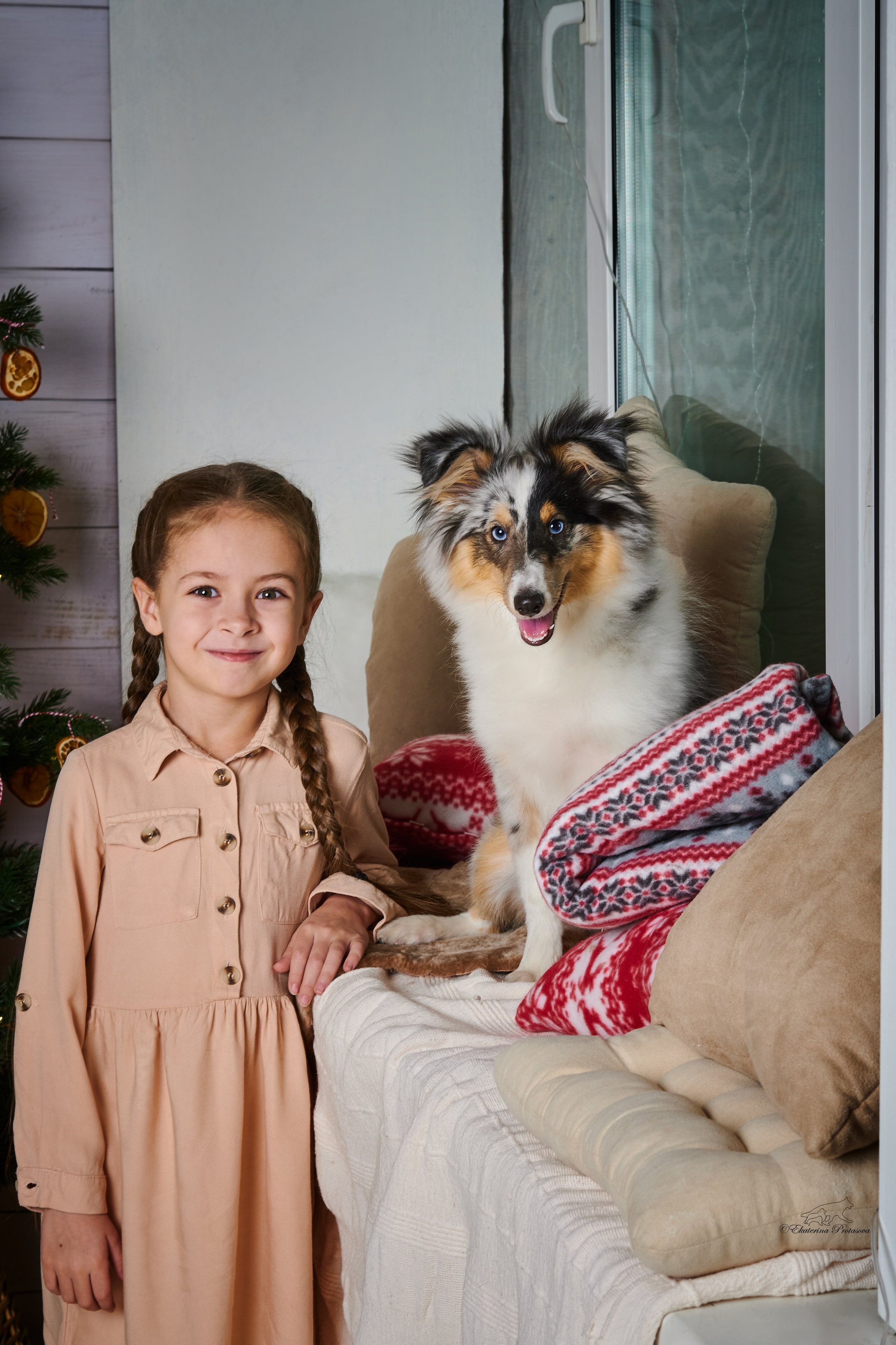 Джек и его семья. Фотограф-анималист в Иркутске