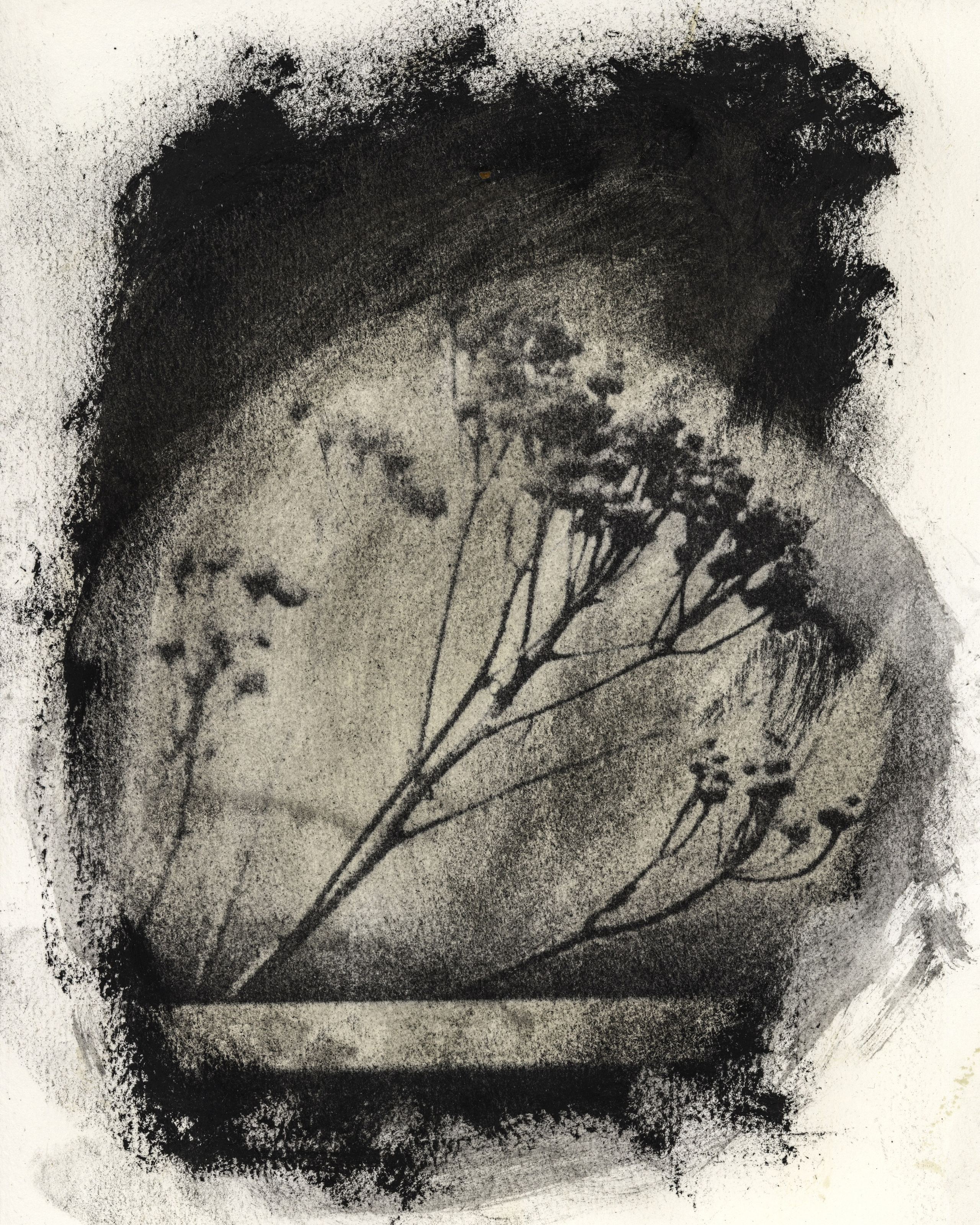 Alternative processes | gumoil | cyanotype | van dyke. Darkroom aesthetics