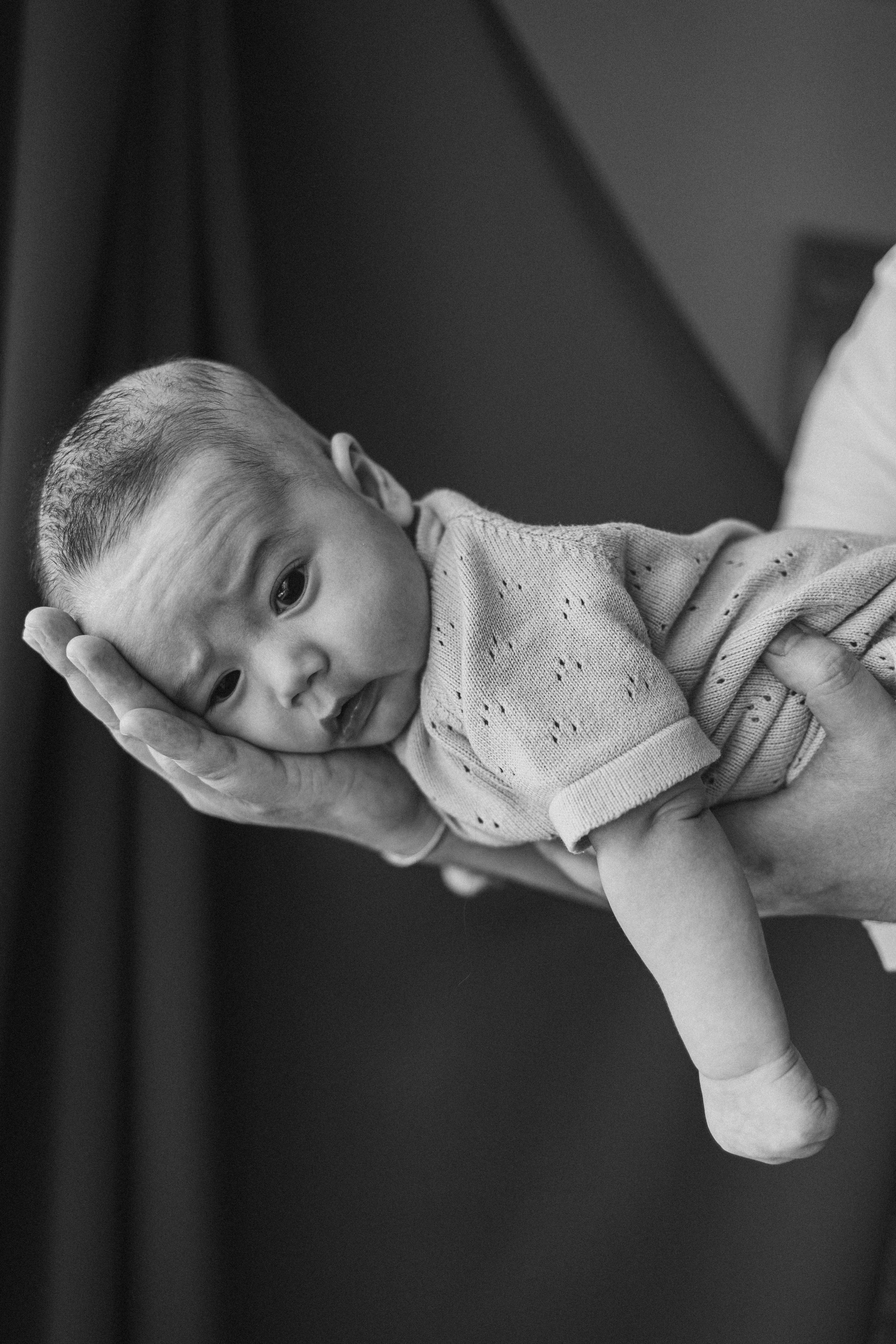 Домашние. Фотограф Москва