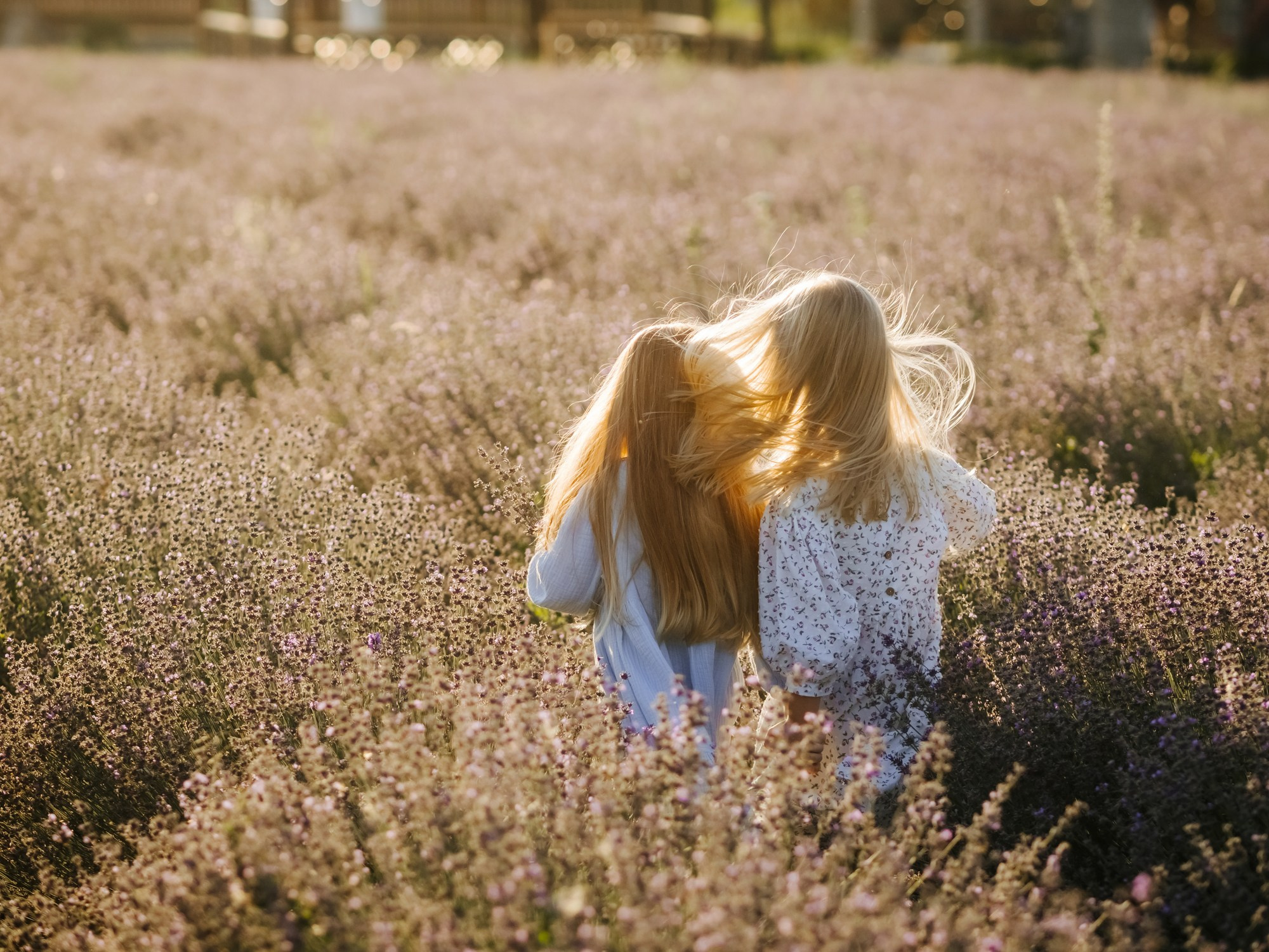 Лаванда. Семейный, детский, свадебный, фотограф в городе Анапа