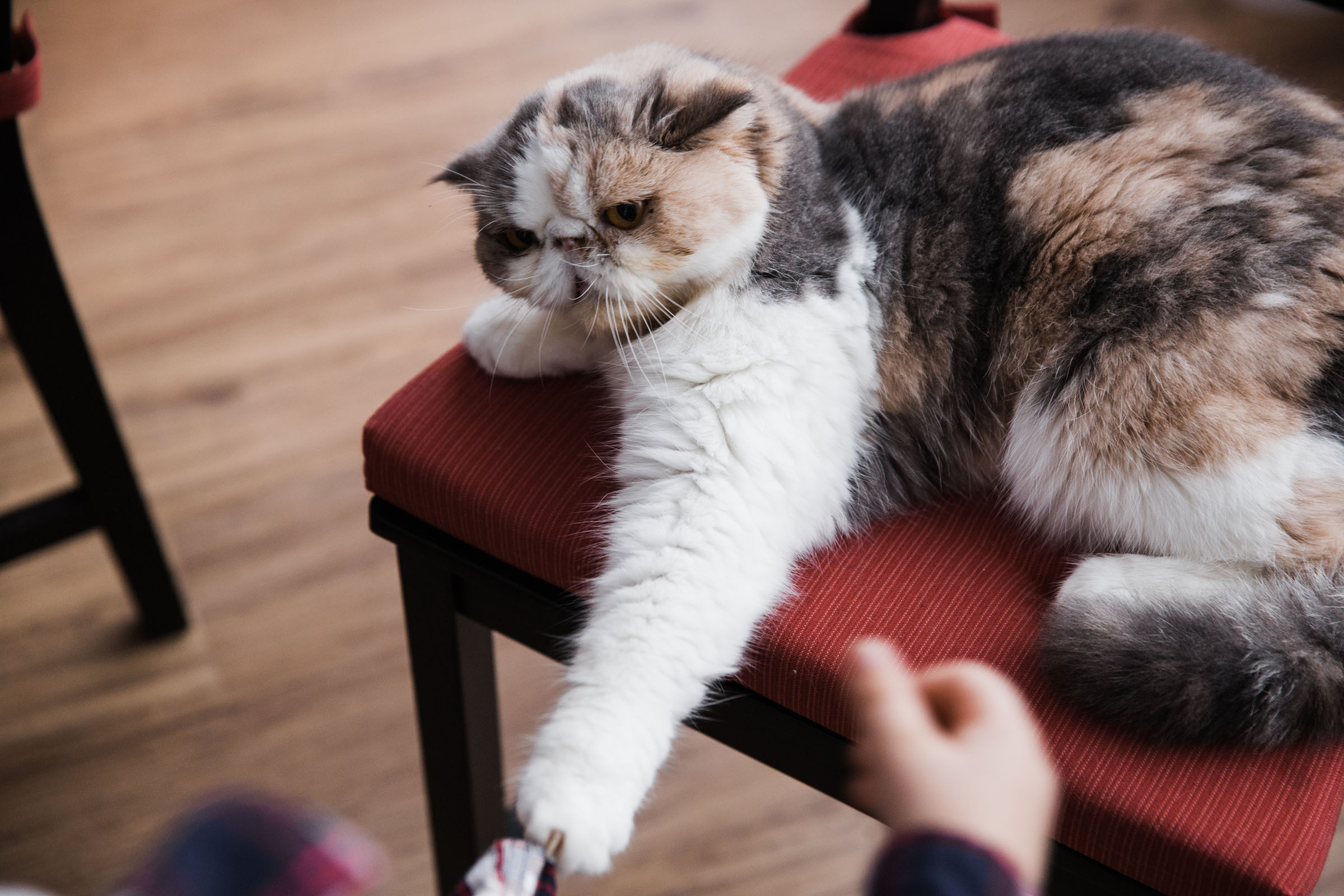 Когда пройдет сто лет // Ваня_Елена_Дима. Фотограф Алутера Ирина