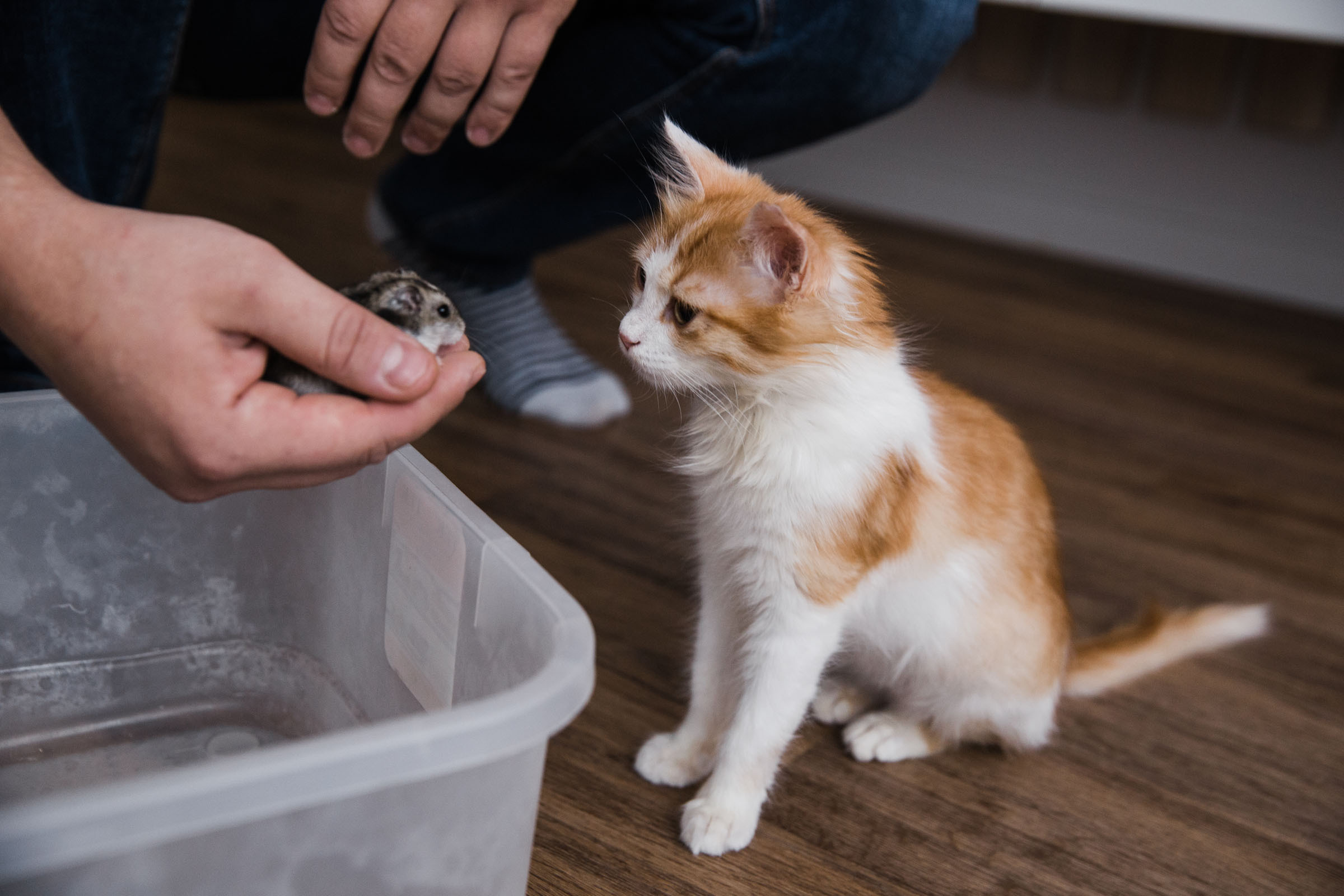 Когда пройдет сто лет // Ваня_Елена_Дима. Фотограф Алутера Ирина