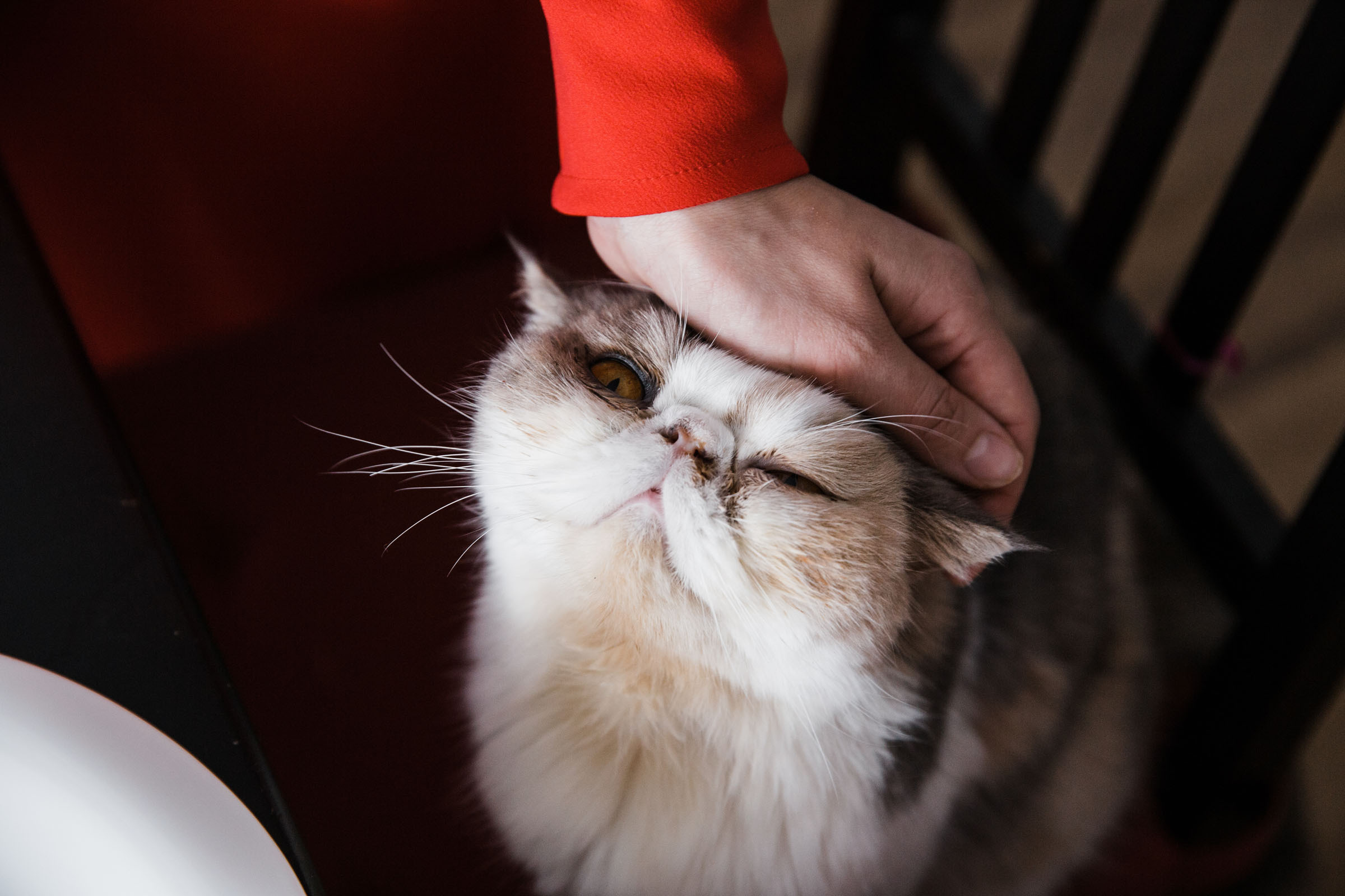 Когда пройдет сто лет // Ваня_Елена_Дима. Фотограф Алутера Ирина