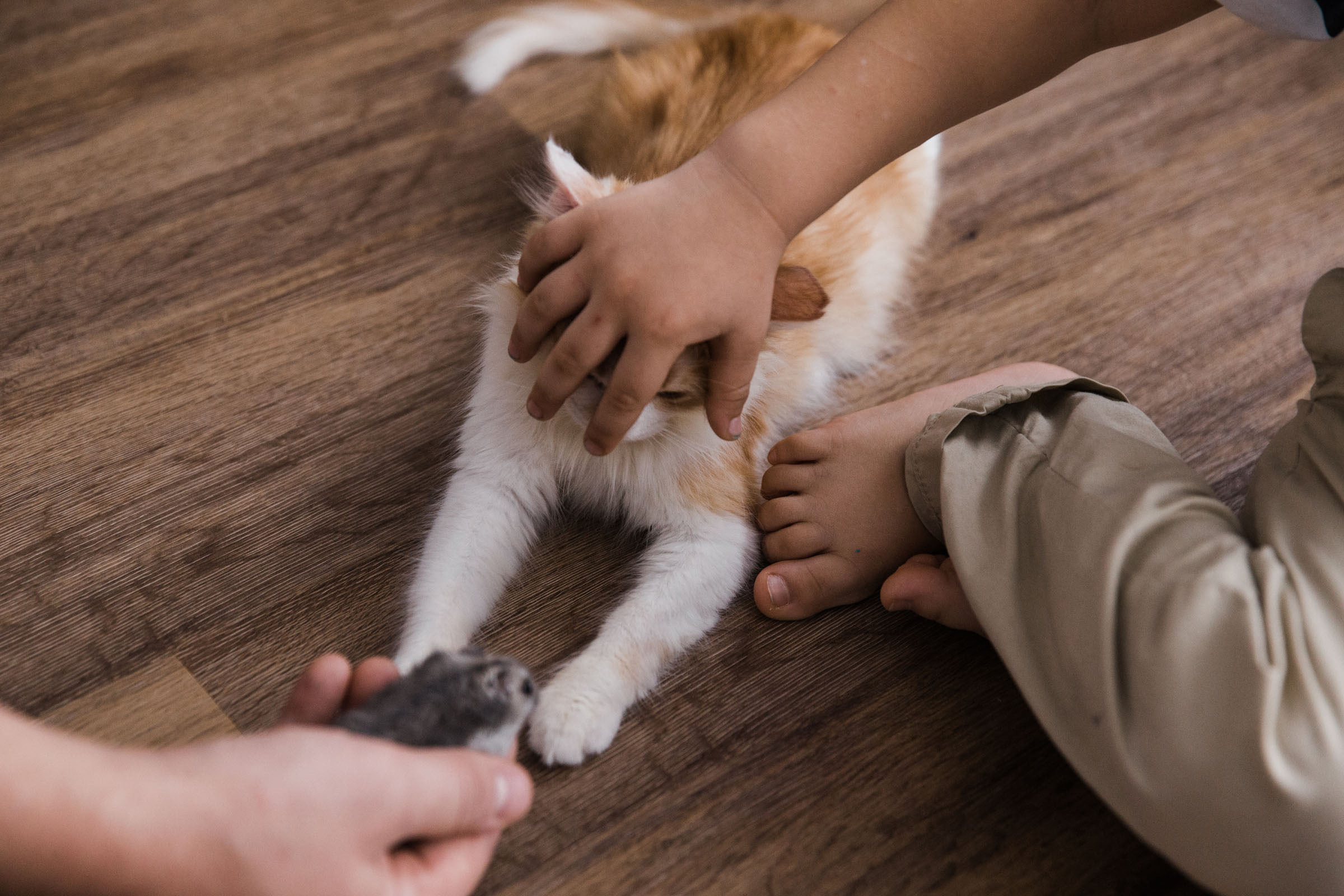 Когда пройдет сто лет // Ваня_Елена_Дима. Фотограф Алутера Ирина