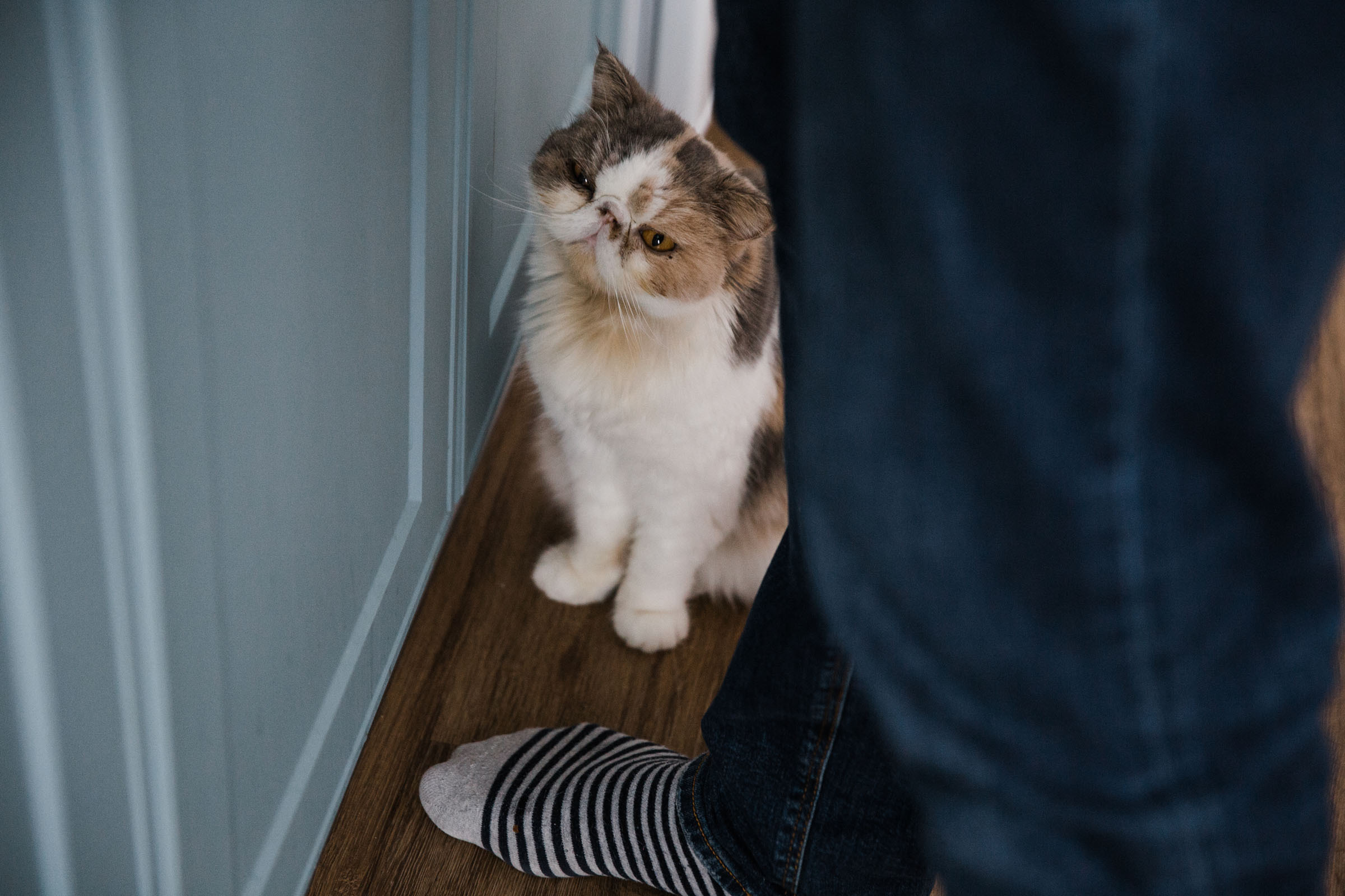 Когда пройдет сто лет // Ваня_Елена_Дима. Фотограф Алутера Ирина