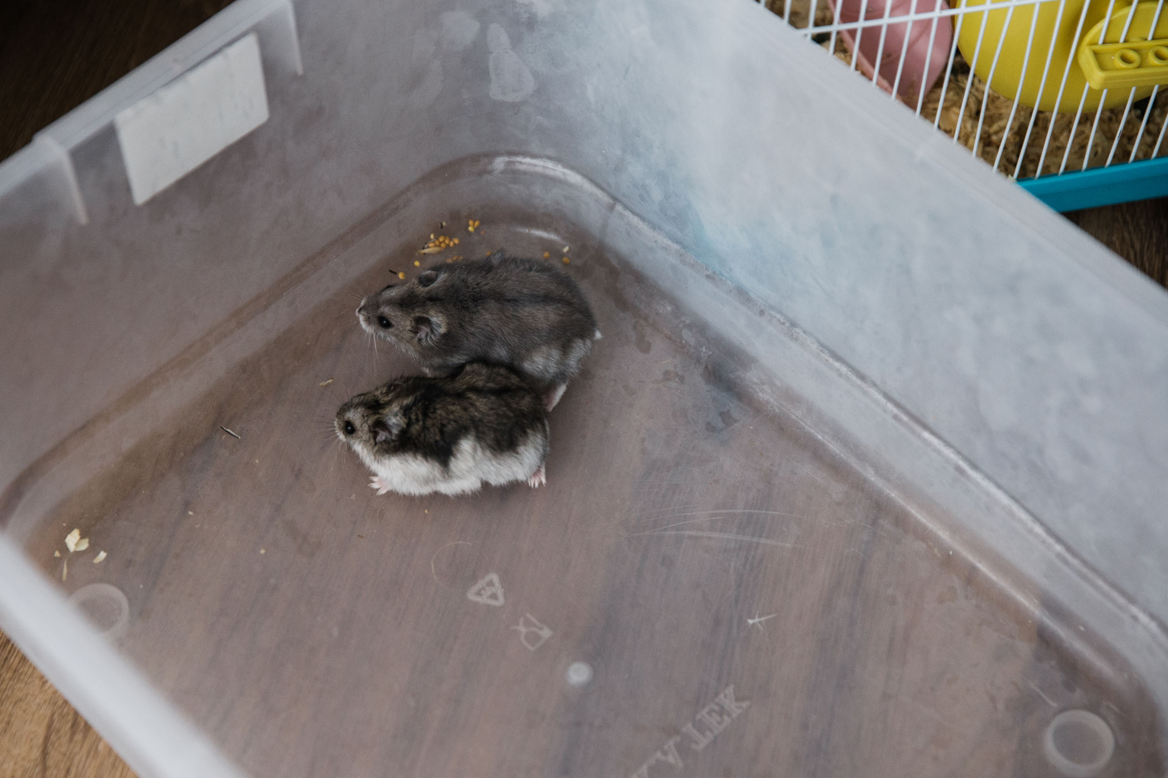 Когда пройдет сто лет // Ваня_Елена_Дима. Фотограф Алутера Ирина