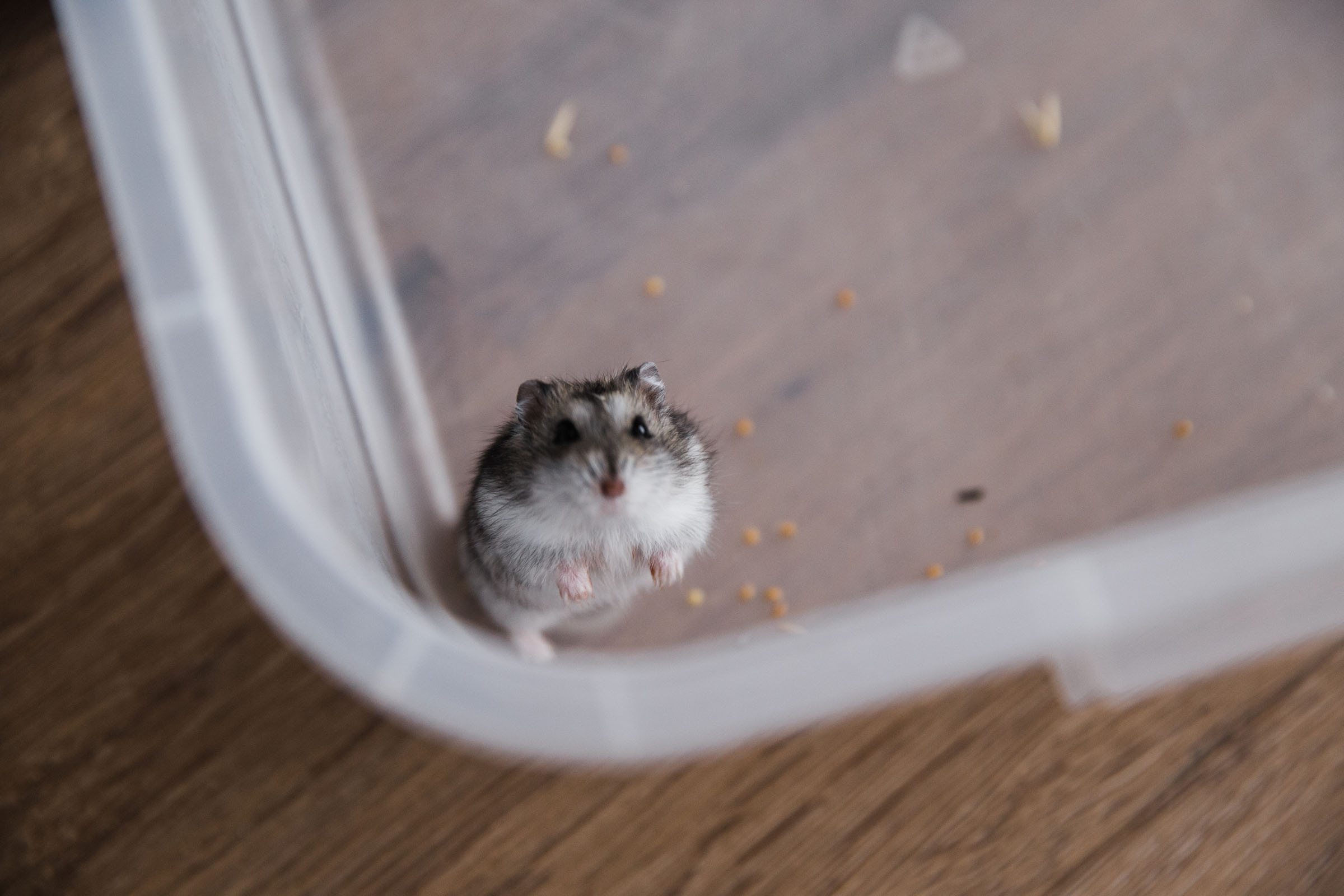 Когда пройдет сто лет // Ваня_Елена_Дима. Фотограф Алутера Ирина