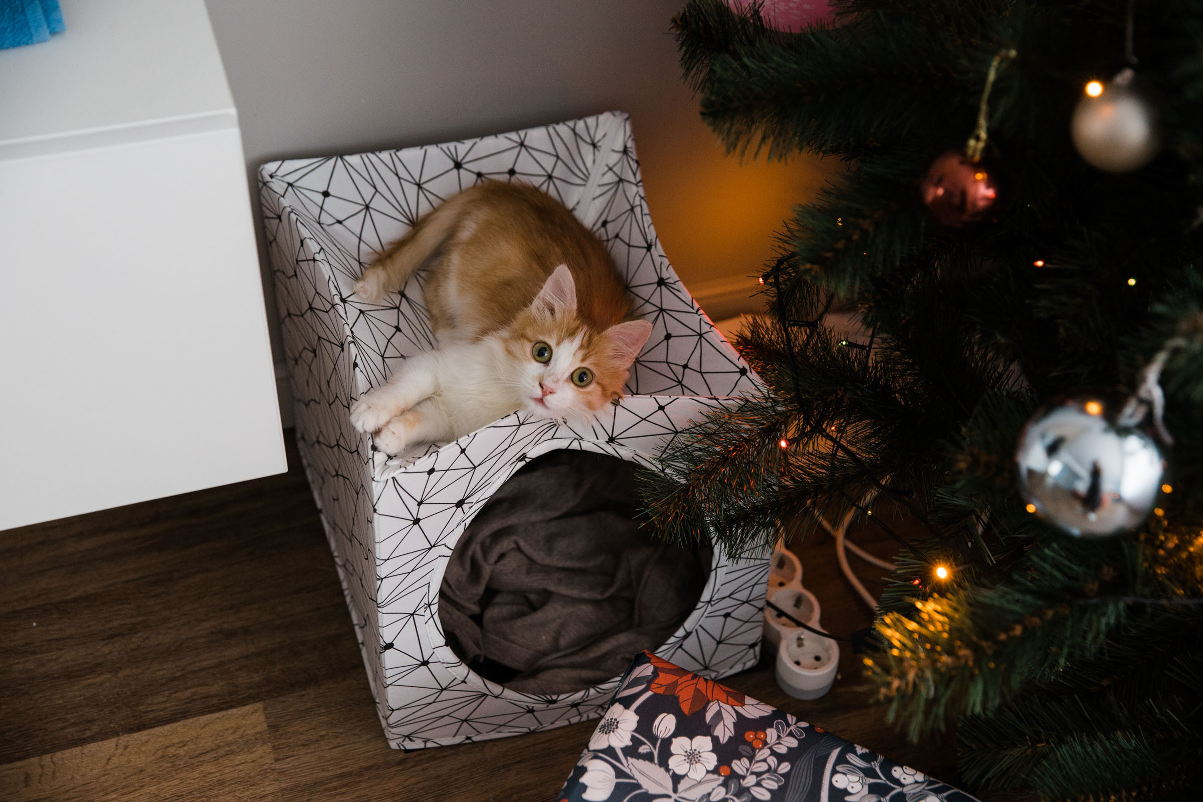 Когда пройдет сто лет // Ваня_Елена_Дима. Фотограф Алутера Ирина