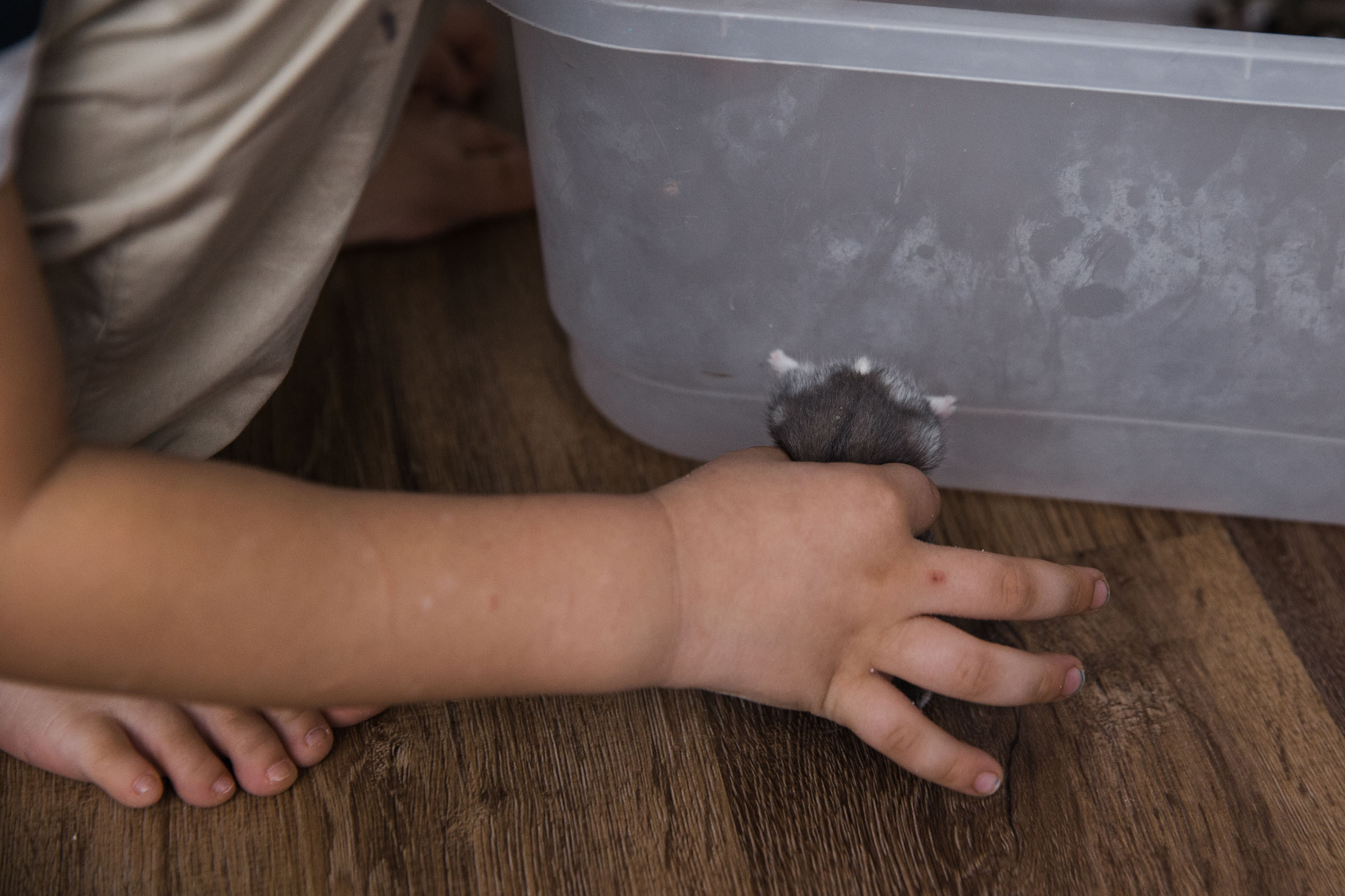 Когда пройдет сто лет // Ваня_Елена_Дима. Фотограф Алутера Ирина