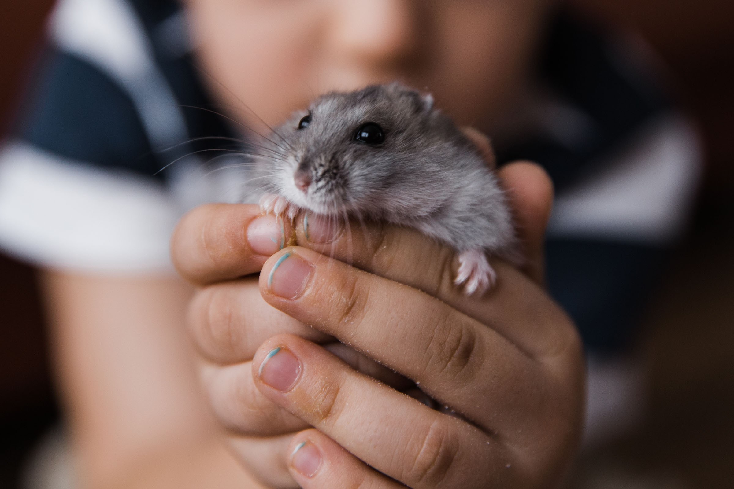 Когда пройдет сто лет // Ваня_Елена_Дима. Фотограф Алутера Ирина