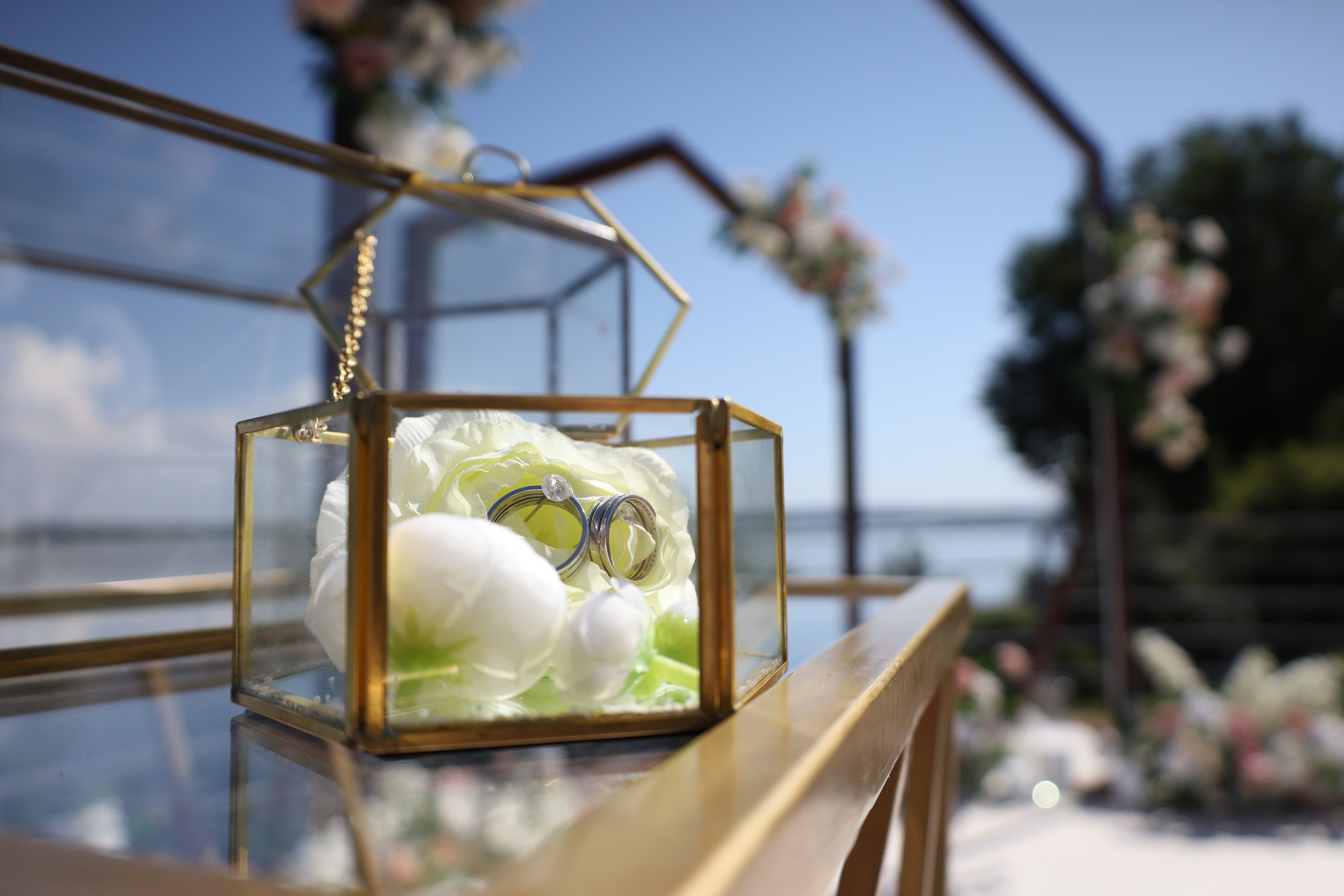 Репортаж. Фотограф Анна Максимова