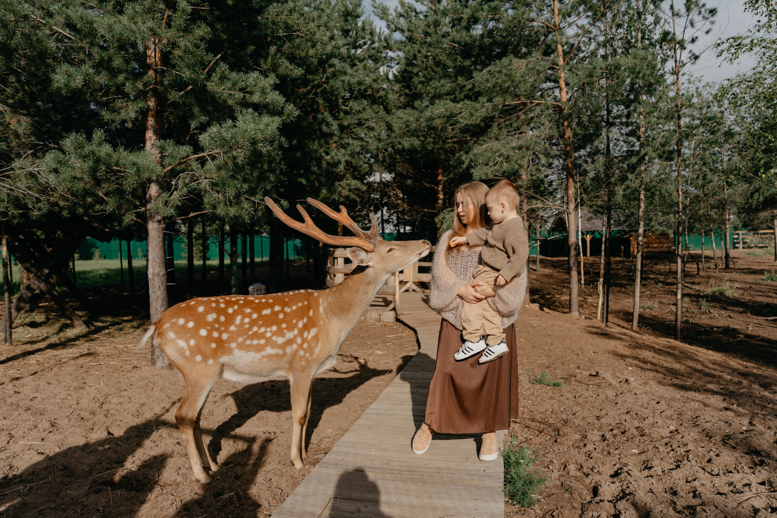 В гости к оленям