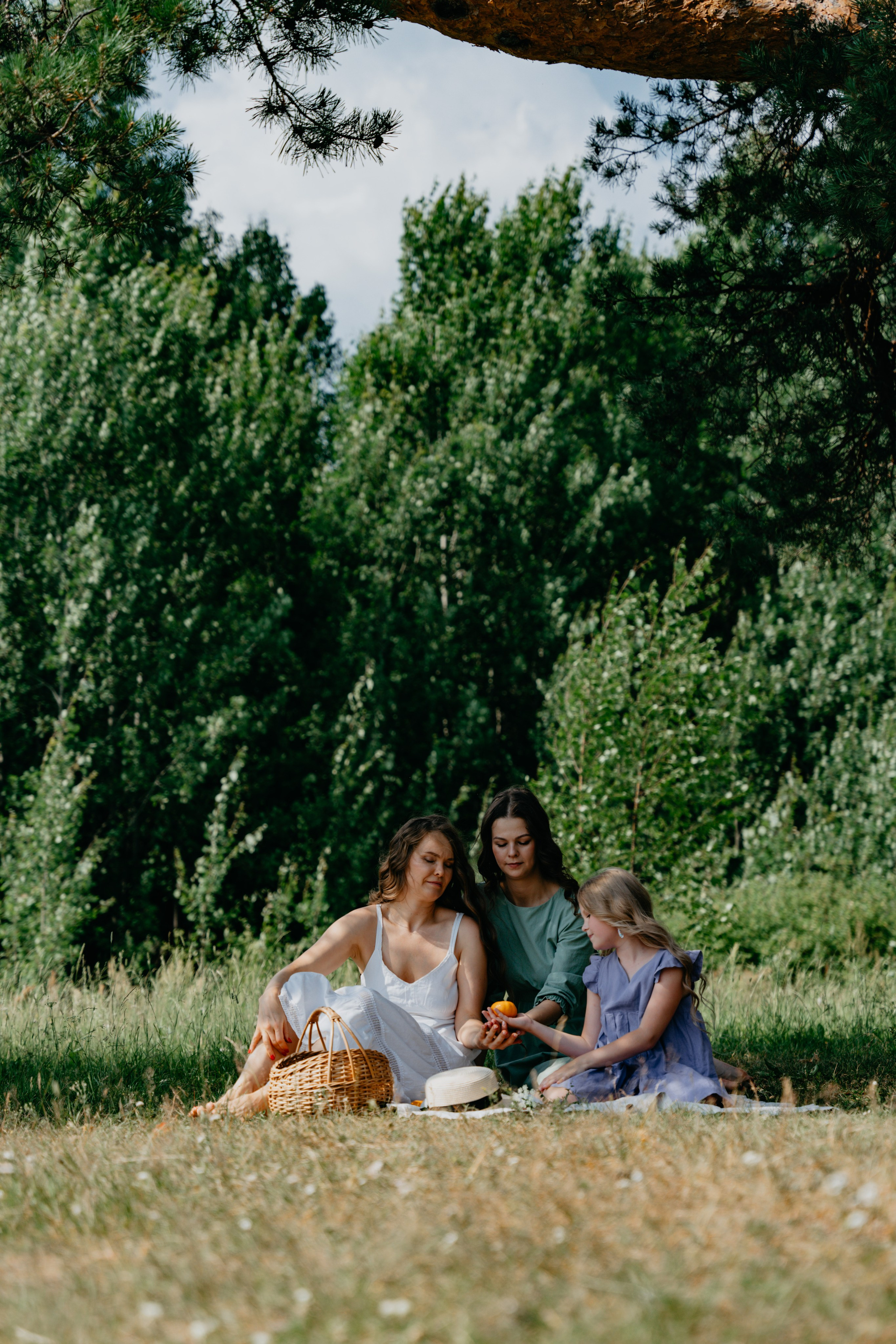 В заповеднике сказок и волшебства