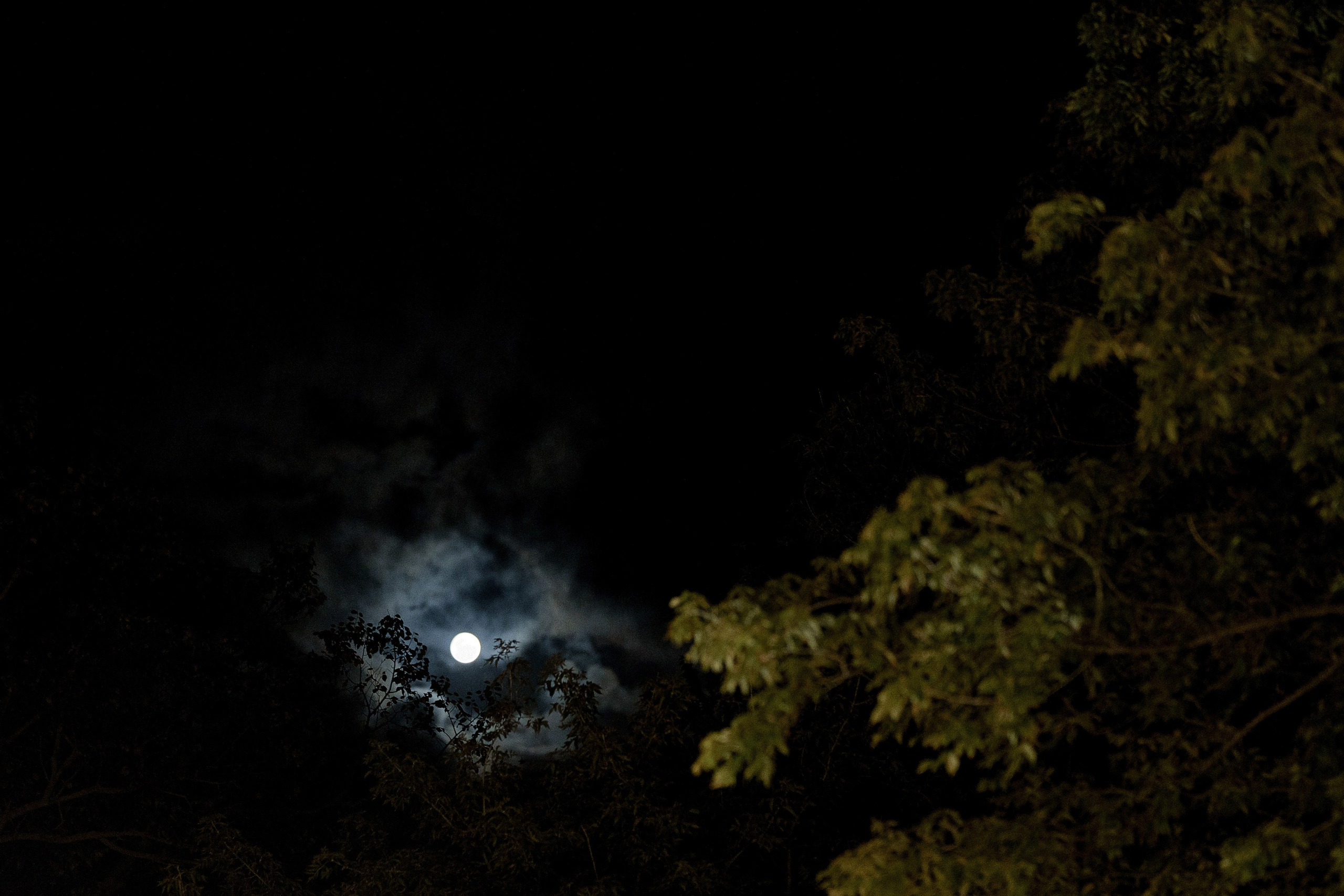 Мы эхо. Свадебный фотограф Марина Бобкова в Липецке, Воронеже, Москва