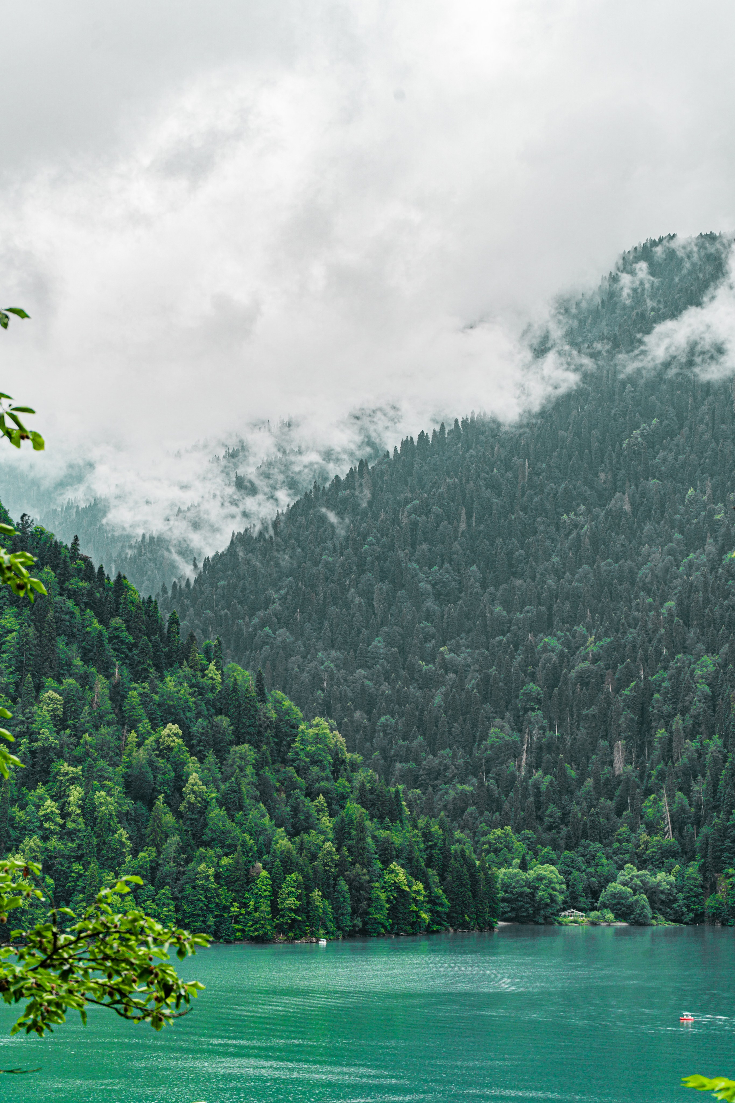 Натура. Владислав Кожух | Фотограф | Видеограф | Режиссёр