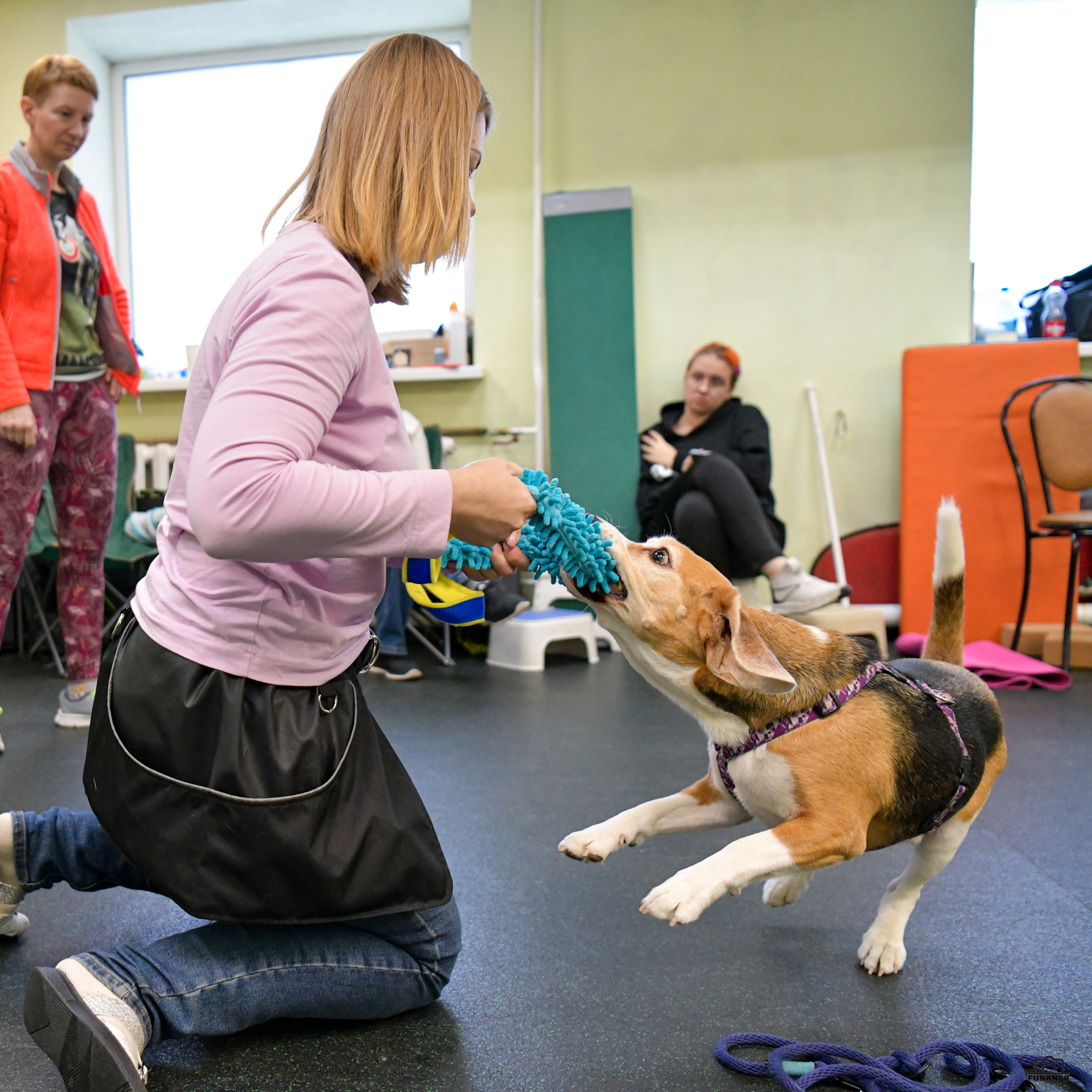 Кинологический клуб «Бодрый хвост». Свой взгляд через объектив