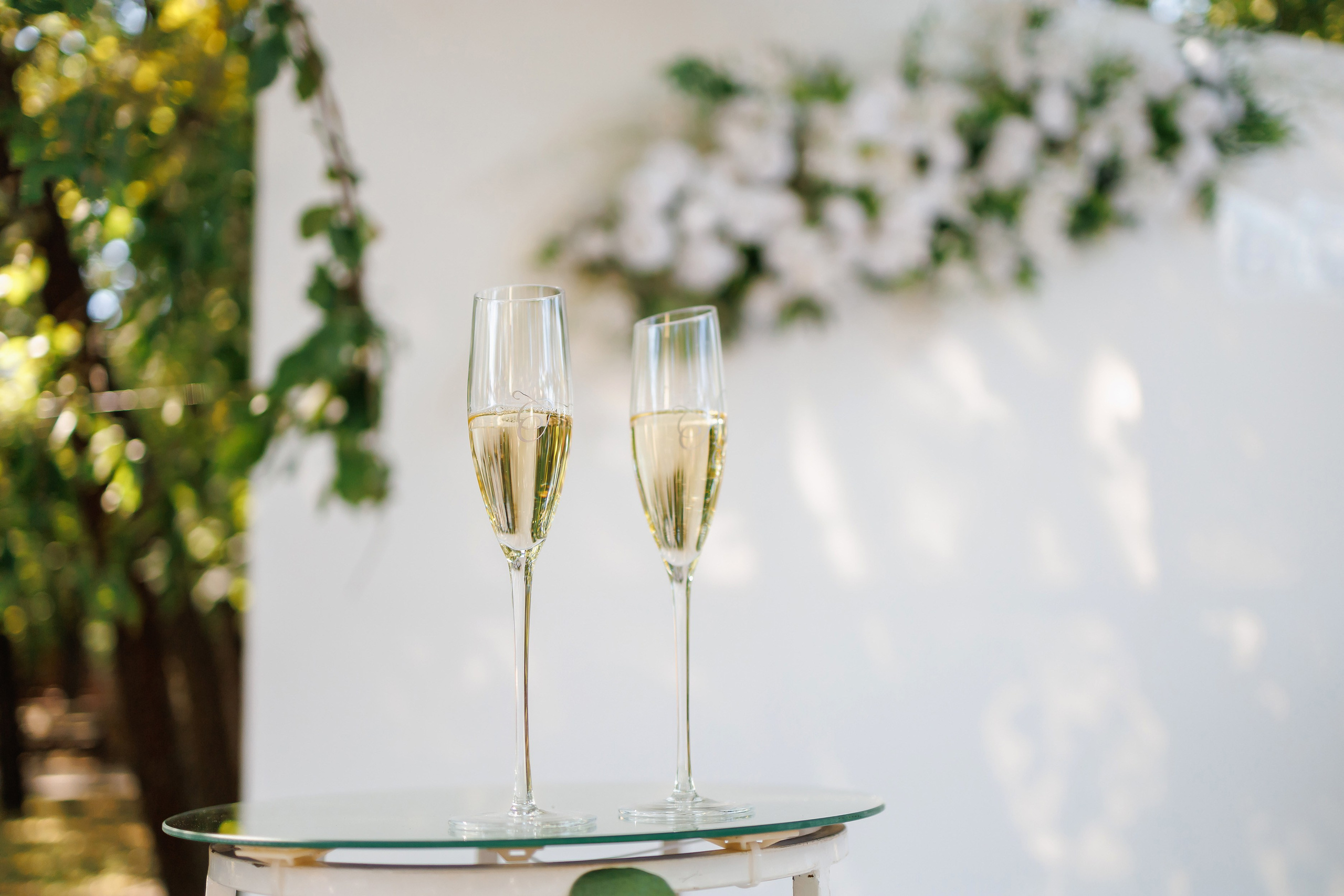 Анатолий и Ирина