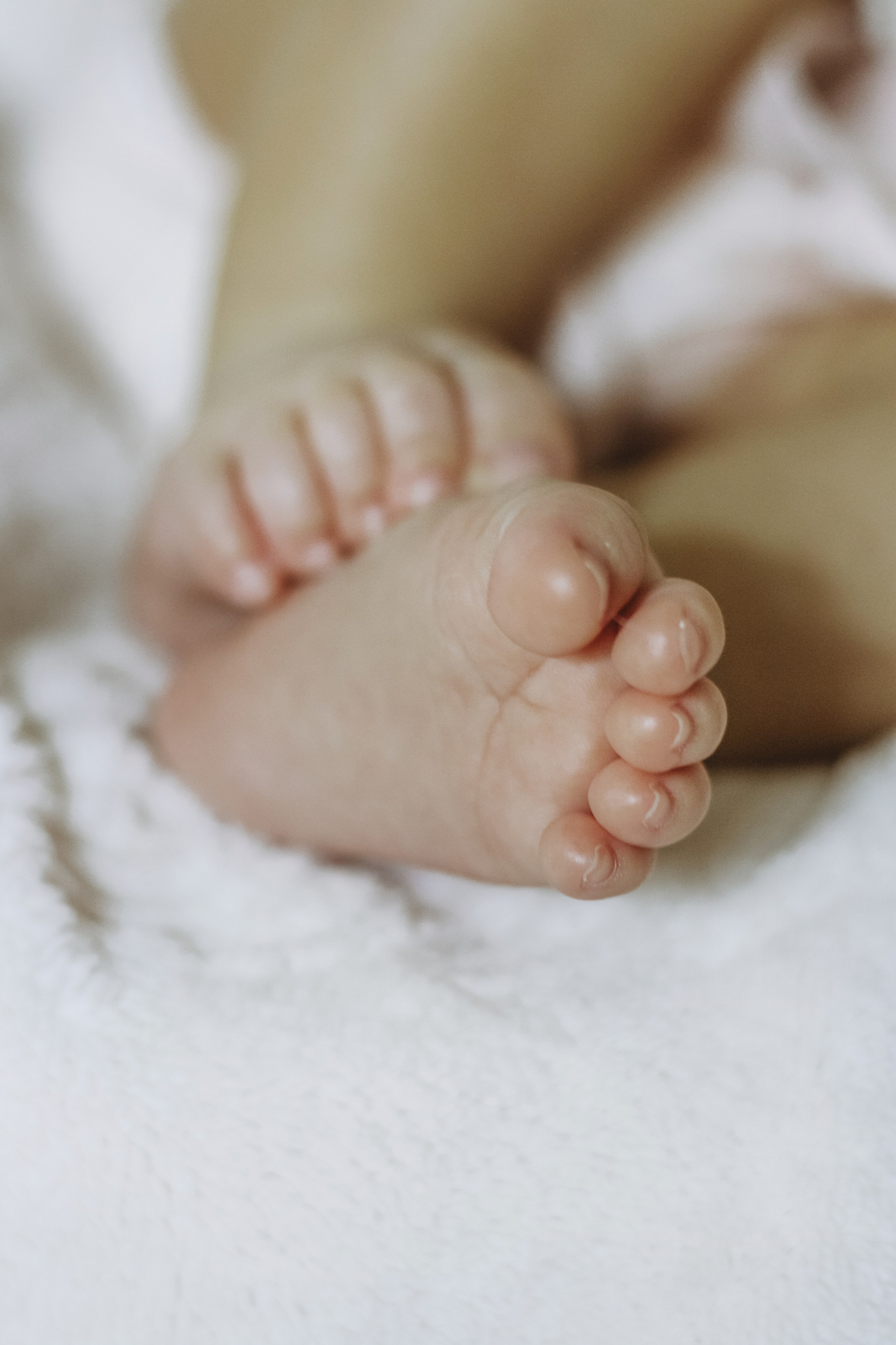 2 месяца. Алиса Томшина — Фотограф / Видеограф