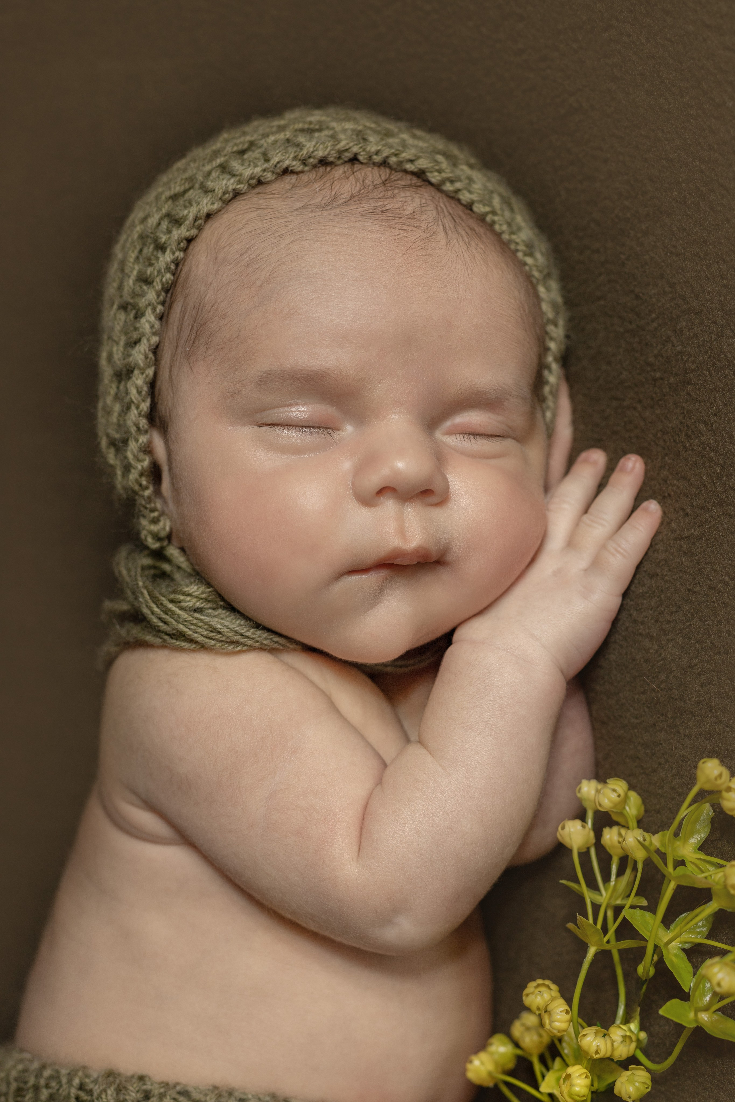 Лев. Ольга SHREIBICUS — Фотография беременности и новорожденных Оренбург