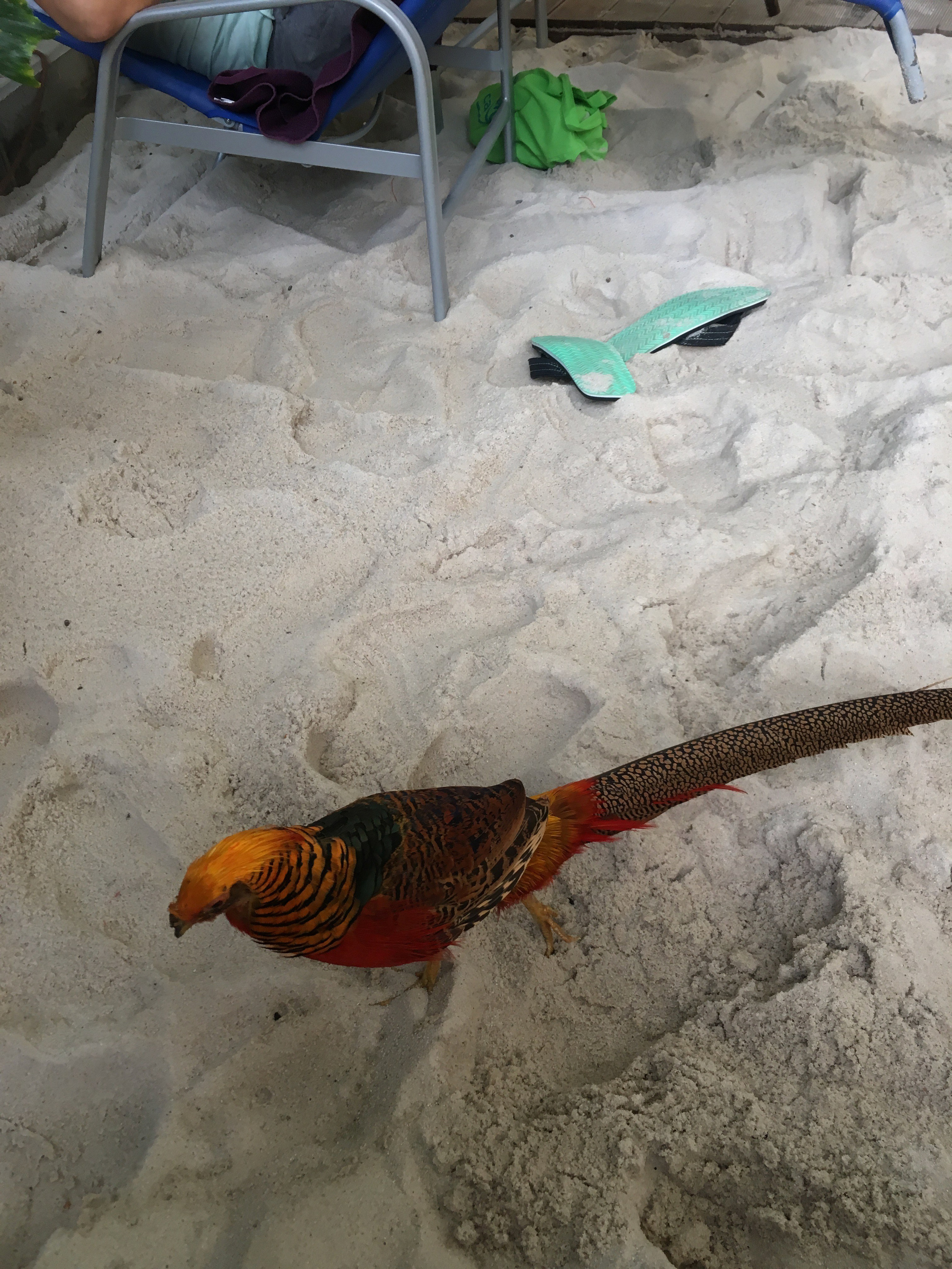 ТропикалАйланд. Своя Мастерская