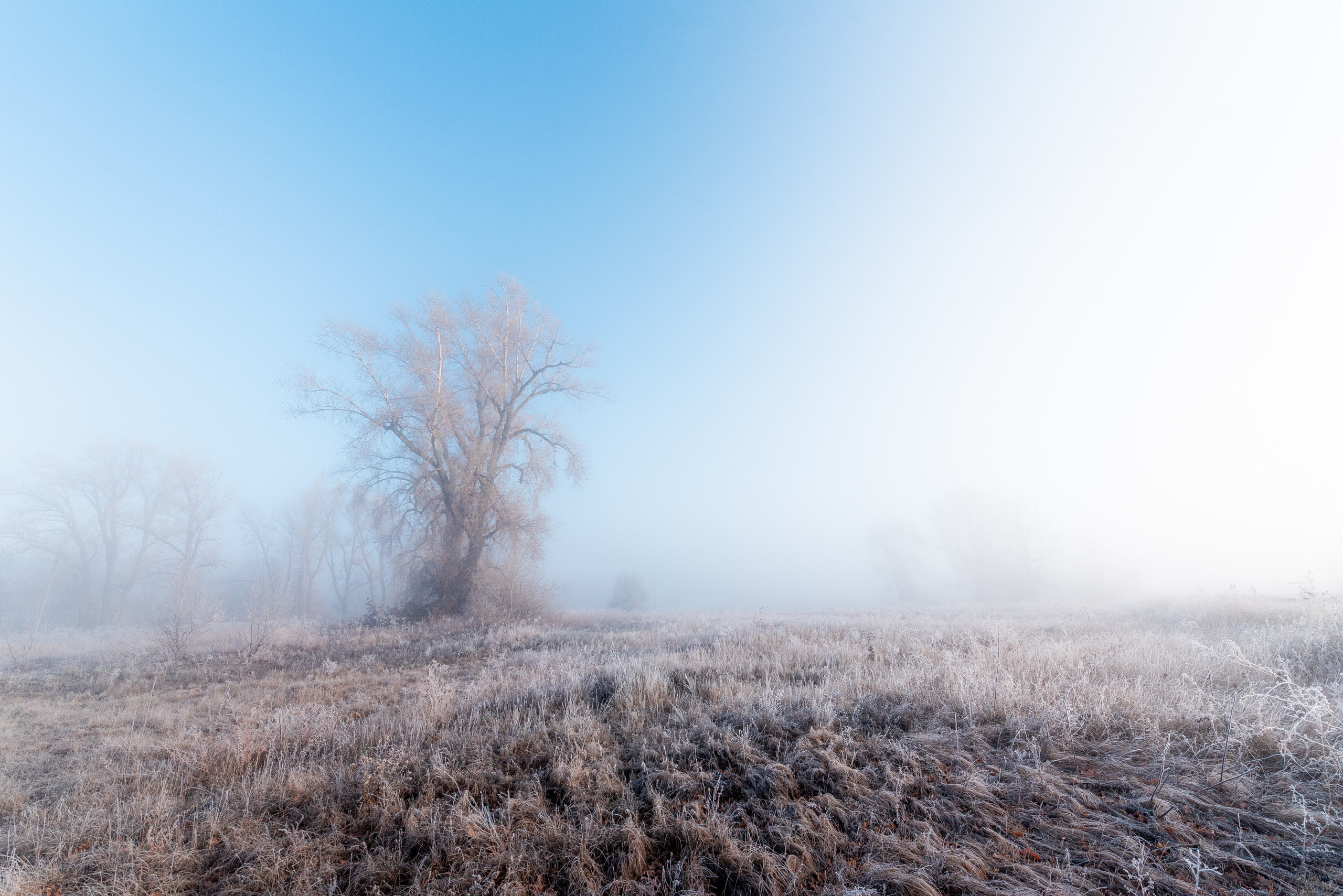 Фотографии утреннего тумана под Волжским. Фотограф в Волгограде и Волжском Александр Горбань