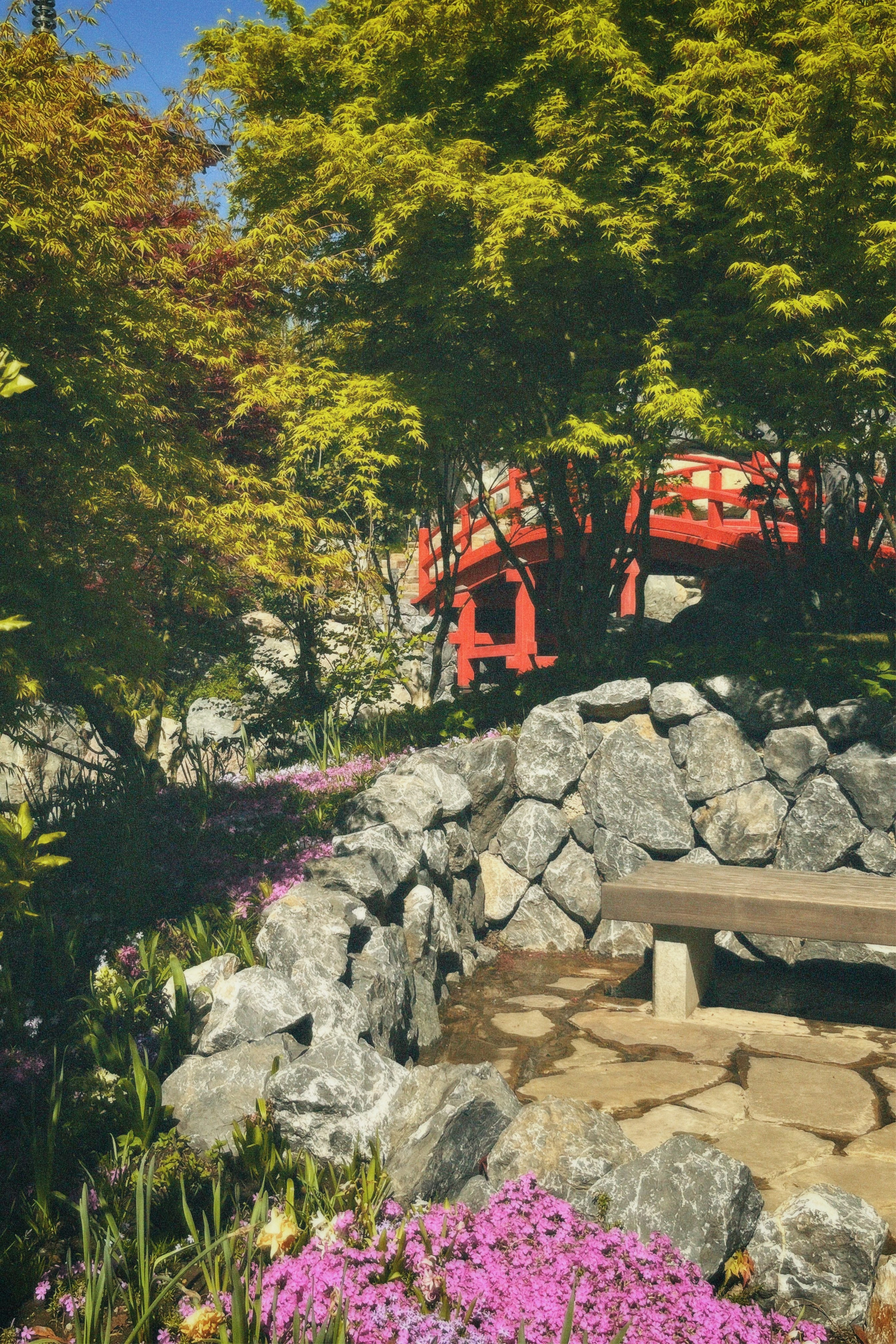 КРАСНОДАР. Портретный и лавстори фотограф в Стерлитамаке Альбина Шарт