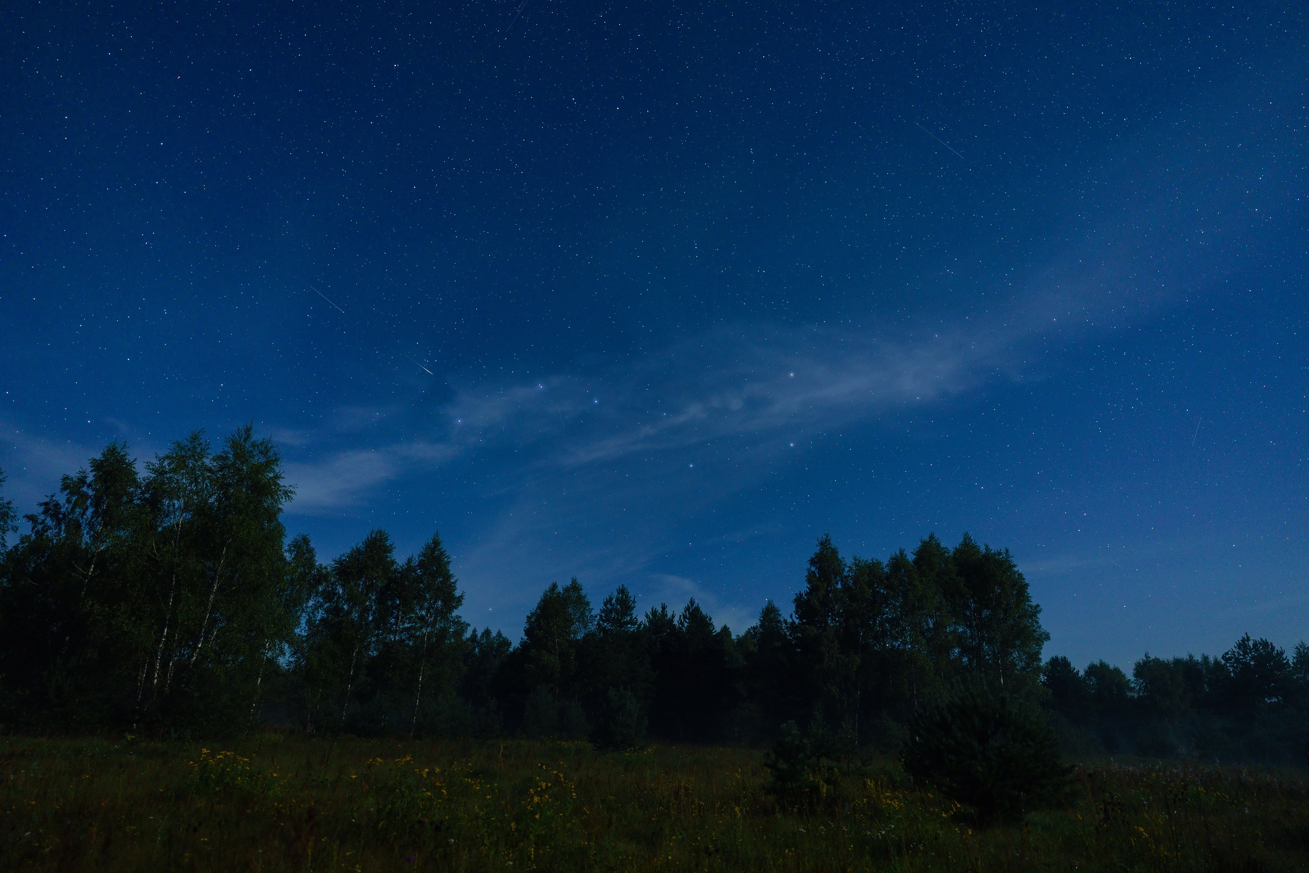 Фотографии Национальный парк Угра. Фотограф спортивные события, недвижимость, турбизнес