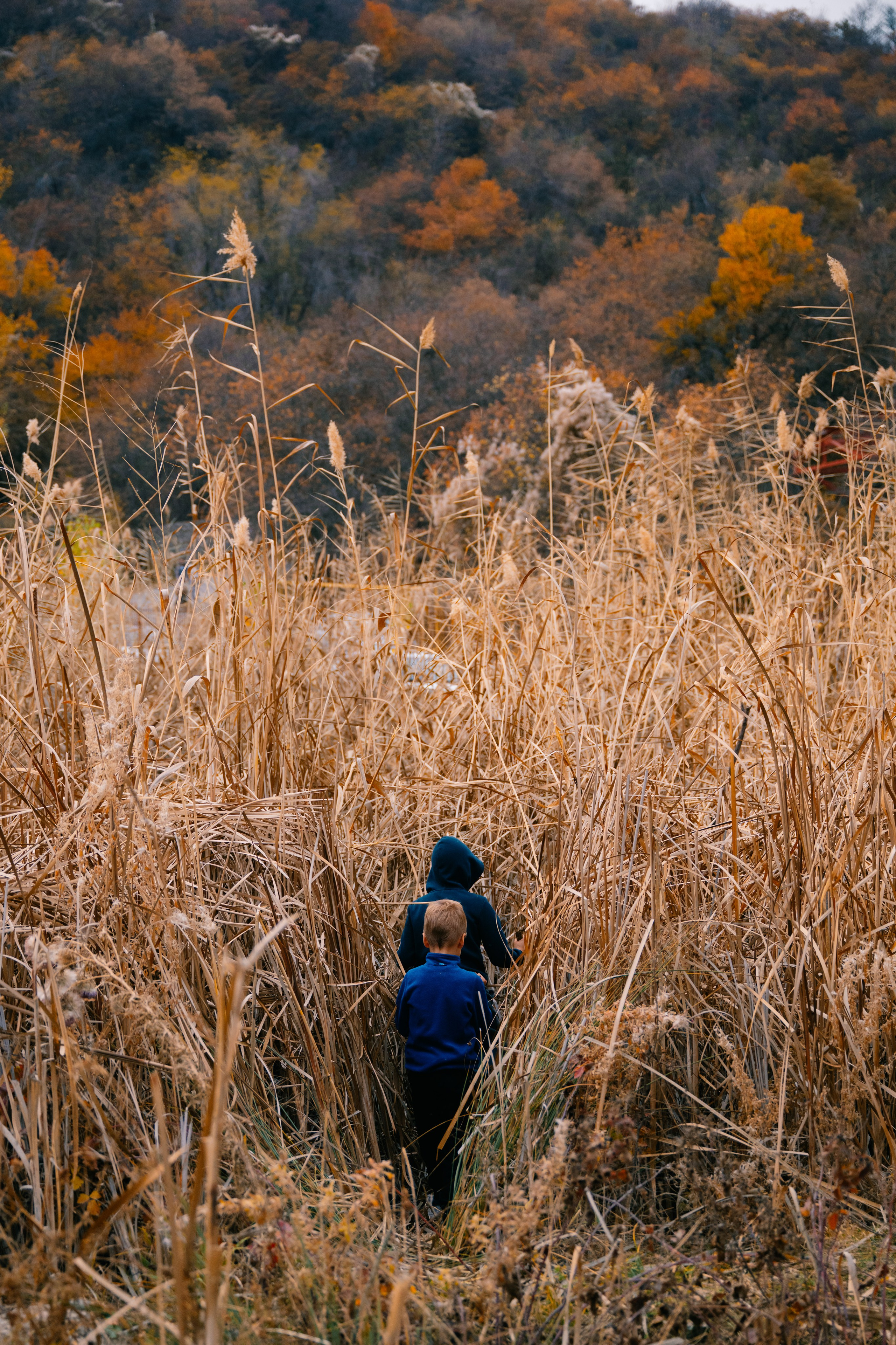 Озеро Иссык, осень 2025. Фотограф в Алматы — Алексей Коньков | Репортаж, свадьбы, портреты