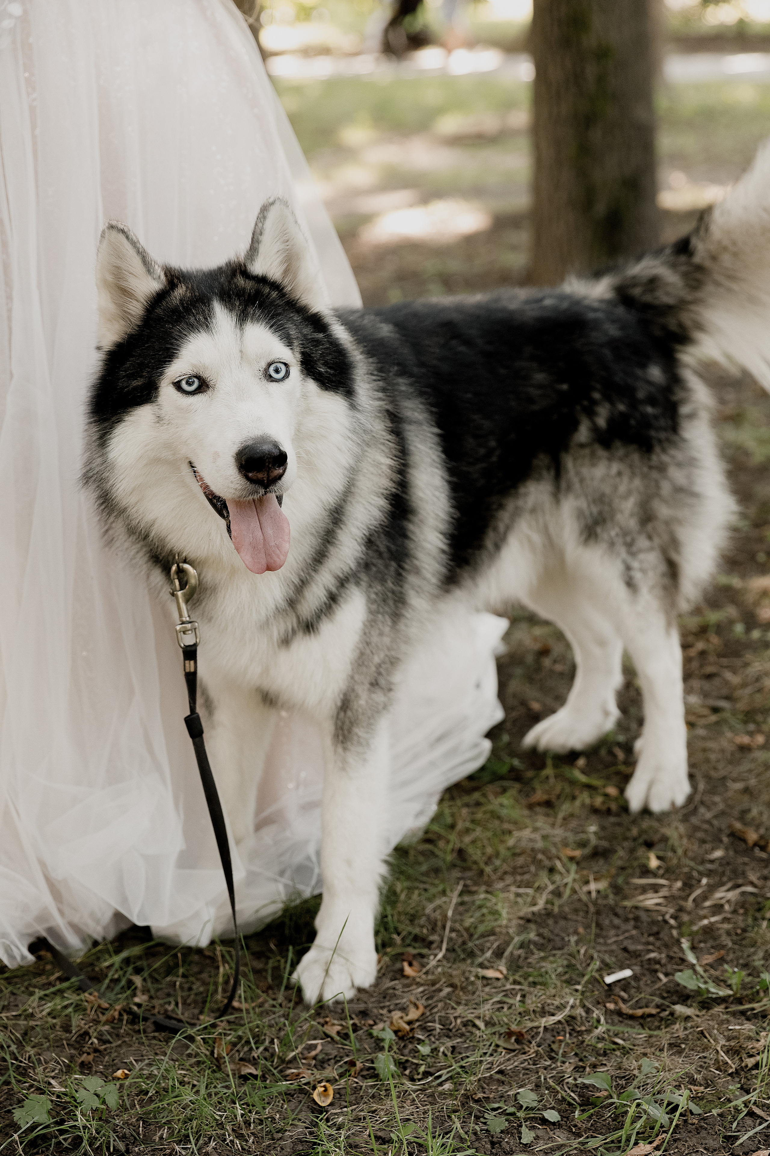 Вероника и Слава. Свадебный и семейный фотограф  во Владивостоке Ольга Украинец