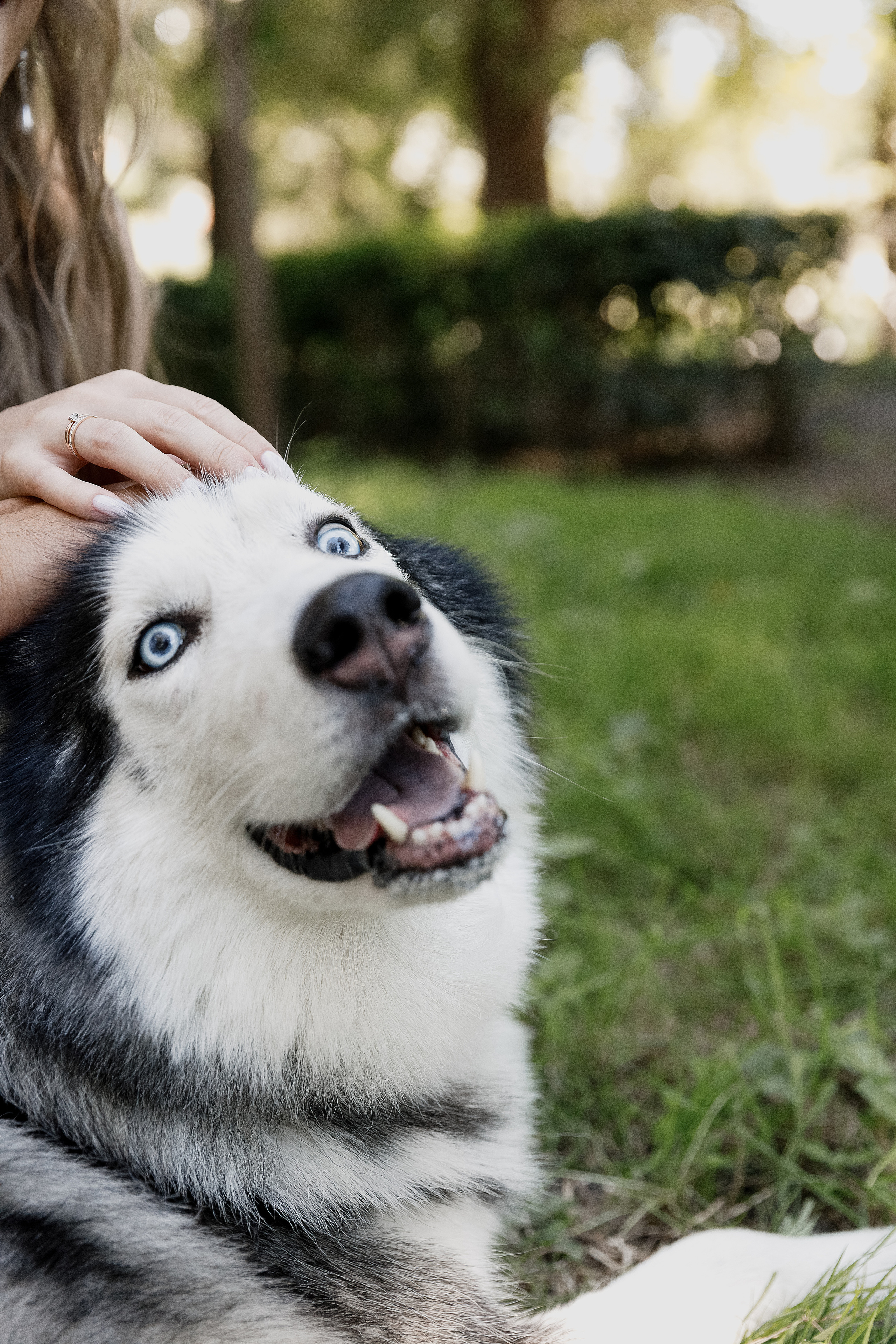 Вероника и Слава. Свадебный и семейный фотограф  во Владивостоке Ольга Украинец