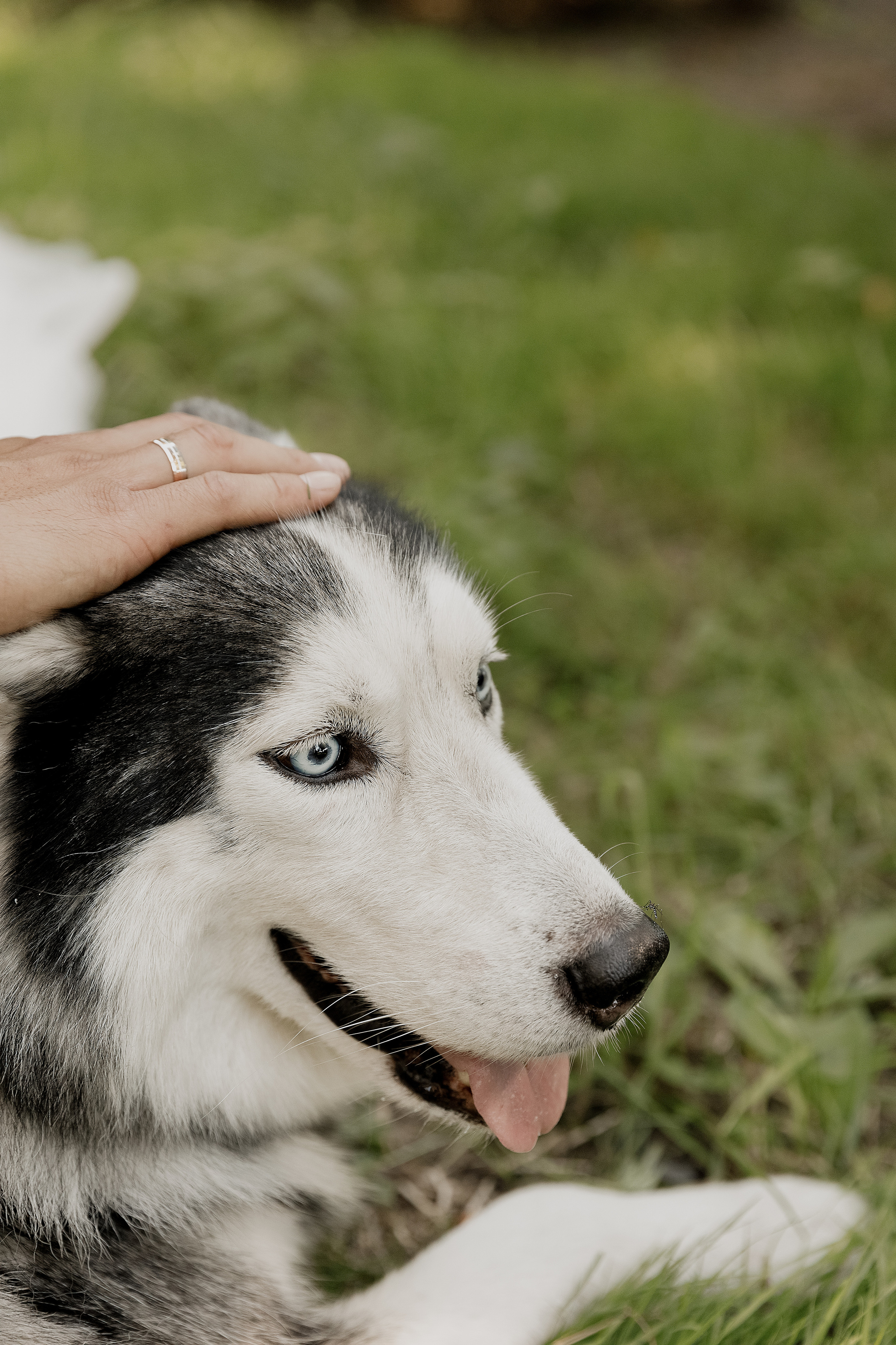Вероника и Слава. Свадебный и семейный фотограф  во Владивостоке Ольга Украинец
