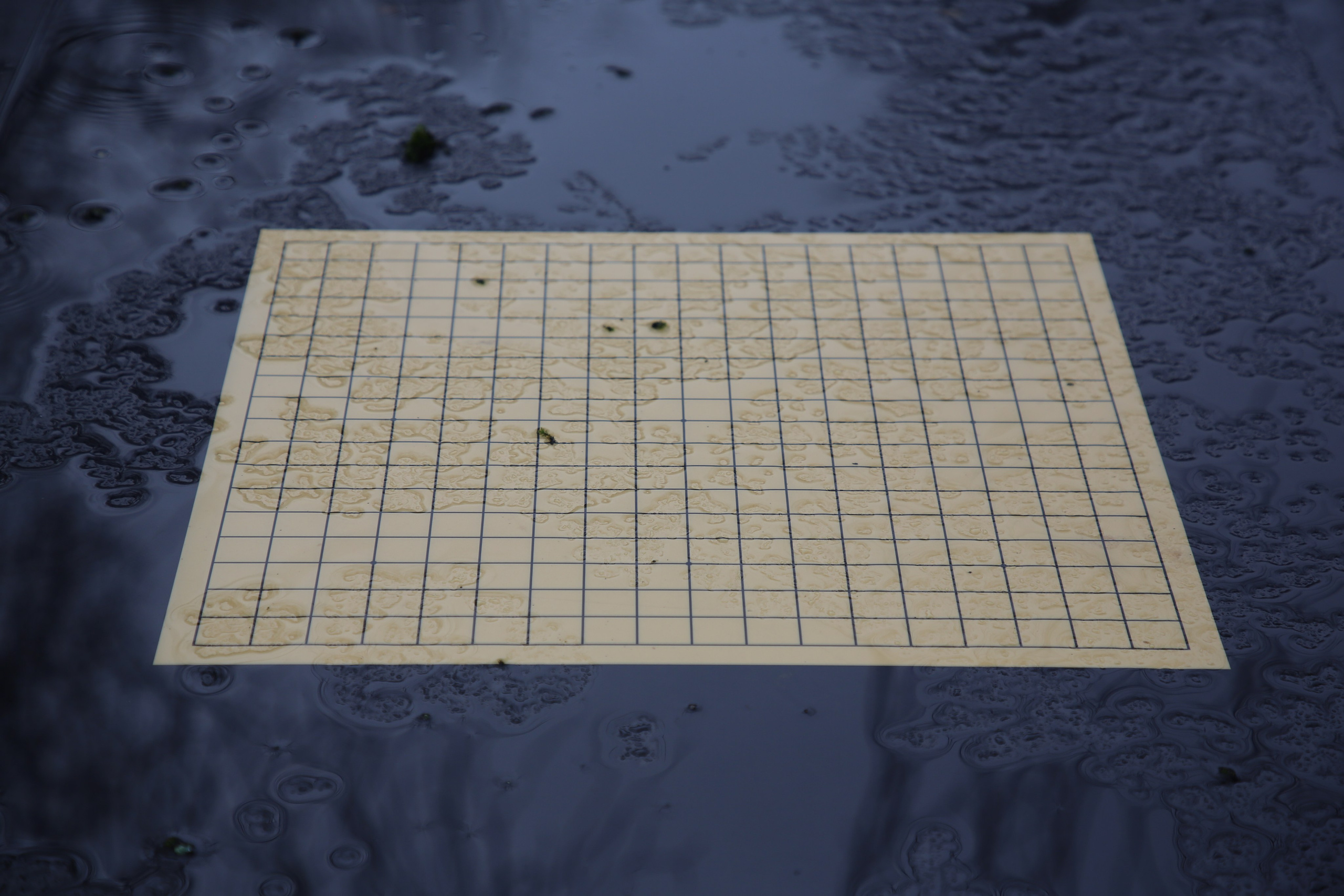 Geneva, Switzerland. Andrey Filippov Photographer