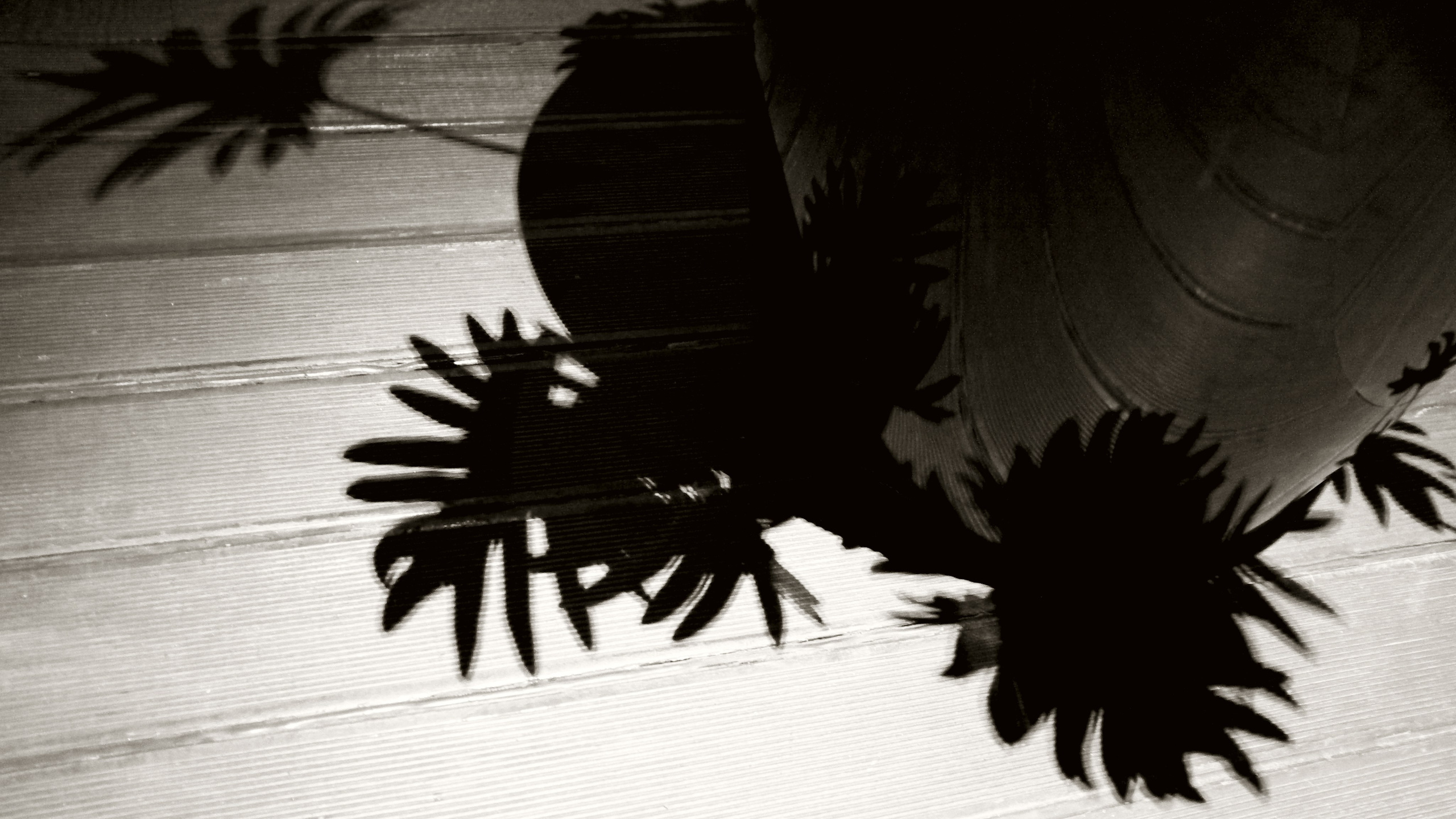 Черно-белое. Миша Печёнкин | фотография