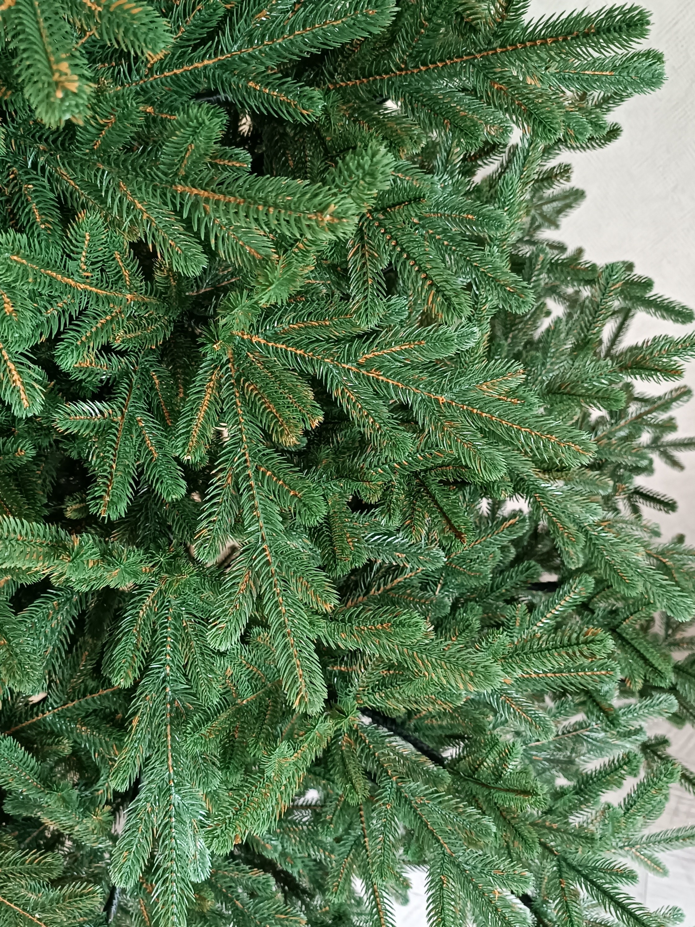 ВЕРСАЛЬ. Elki_grodno