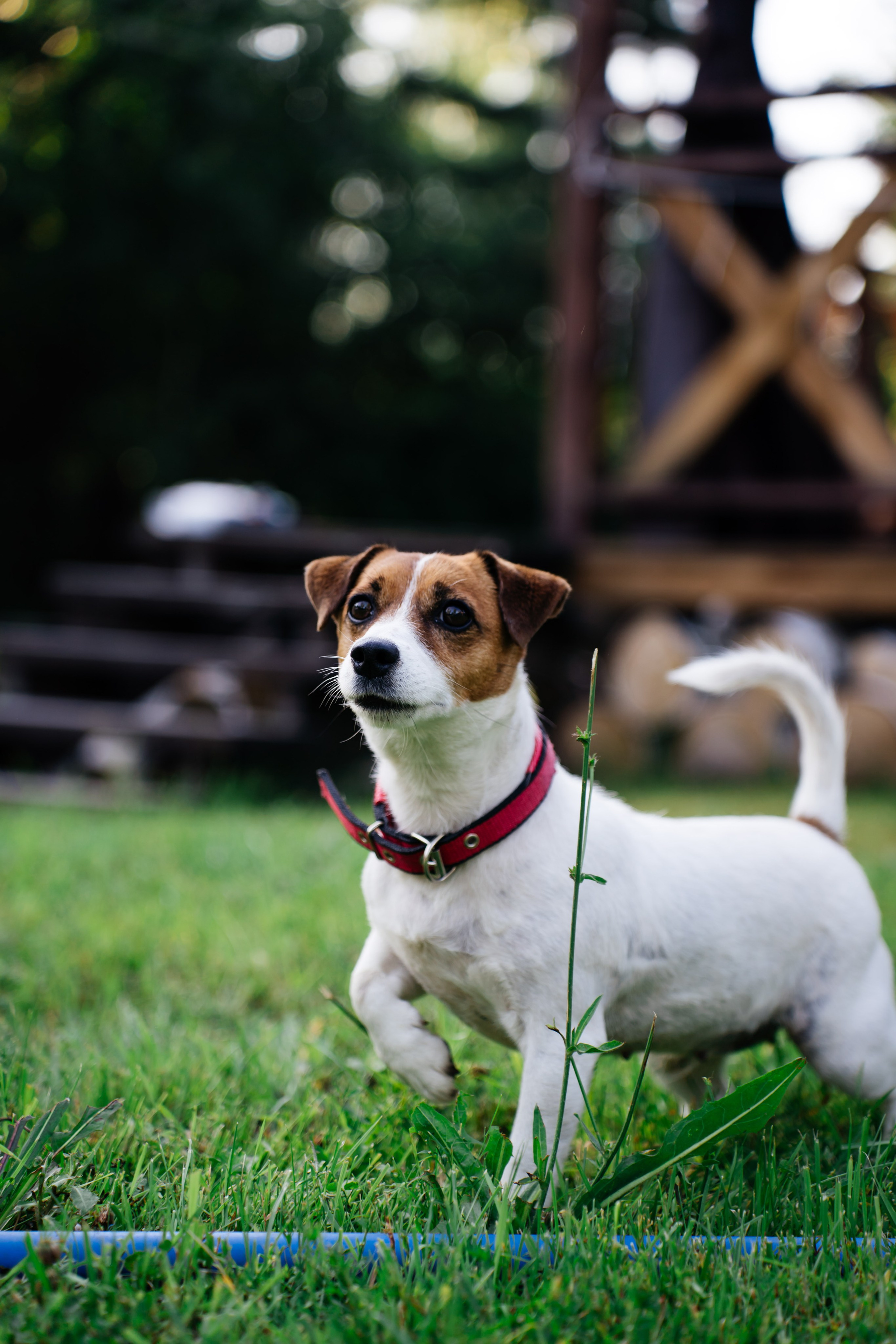 Weekend with friends. Видеограф и Фотограф в Челябинске Ксения и Владимир Рюмины